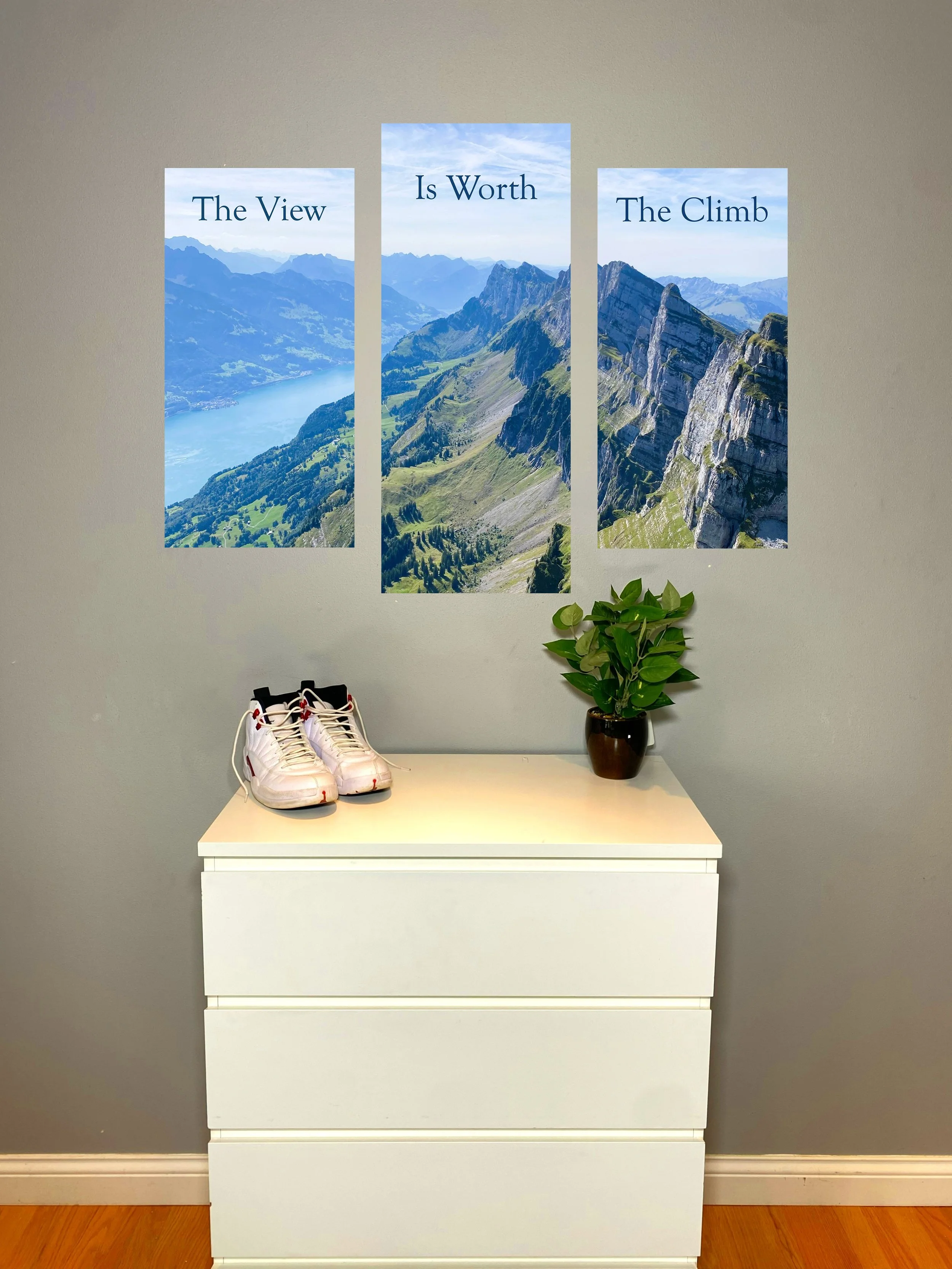 Product Example (The Swiss Alps) (Shoes) (Multi).jpg