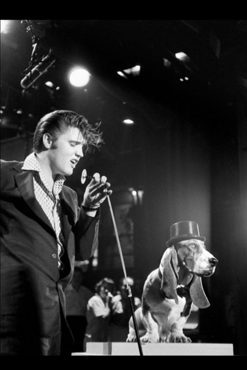 Ain't Nothin' but a Hound Dog