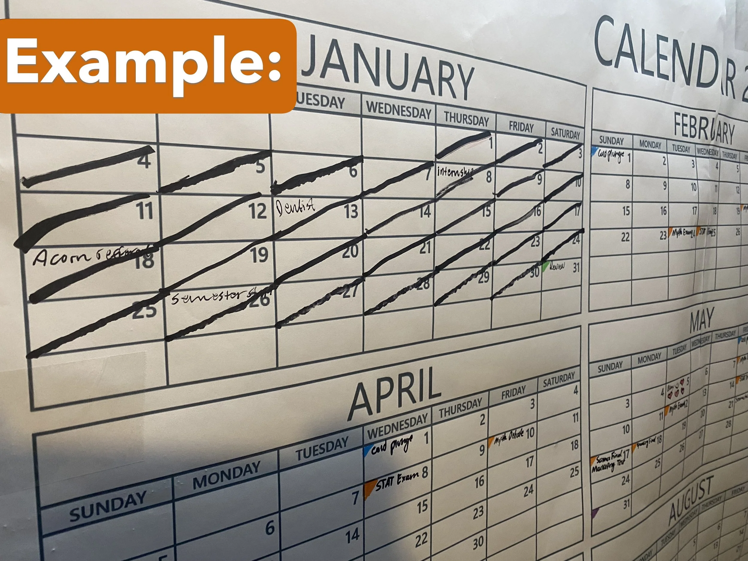 The Dorm Calander 2026 website image 1.2.JPG