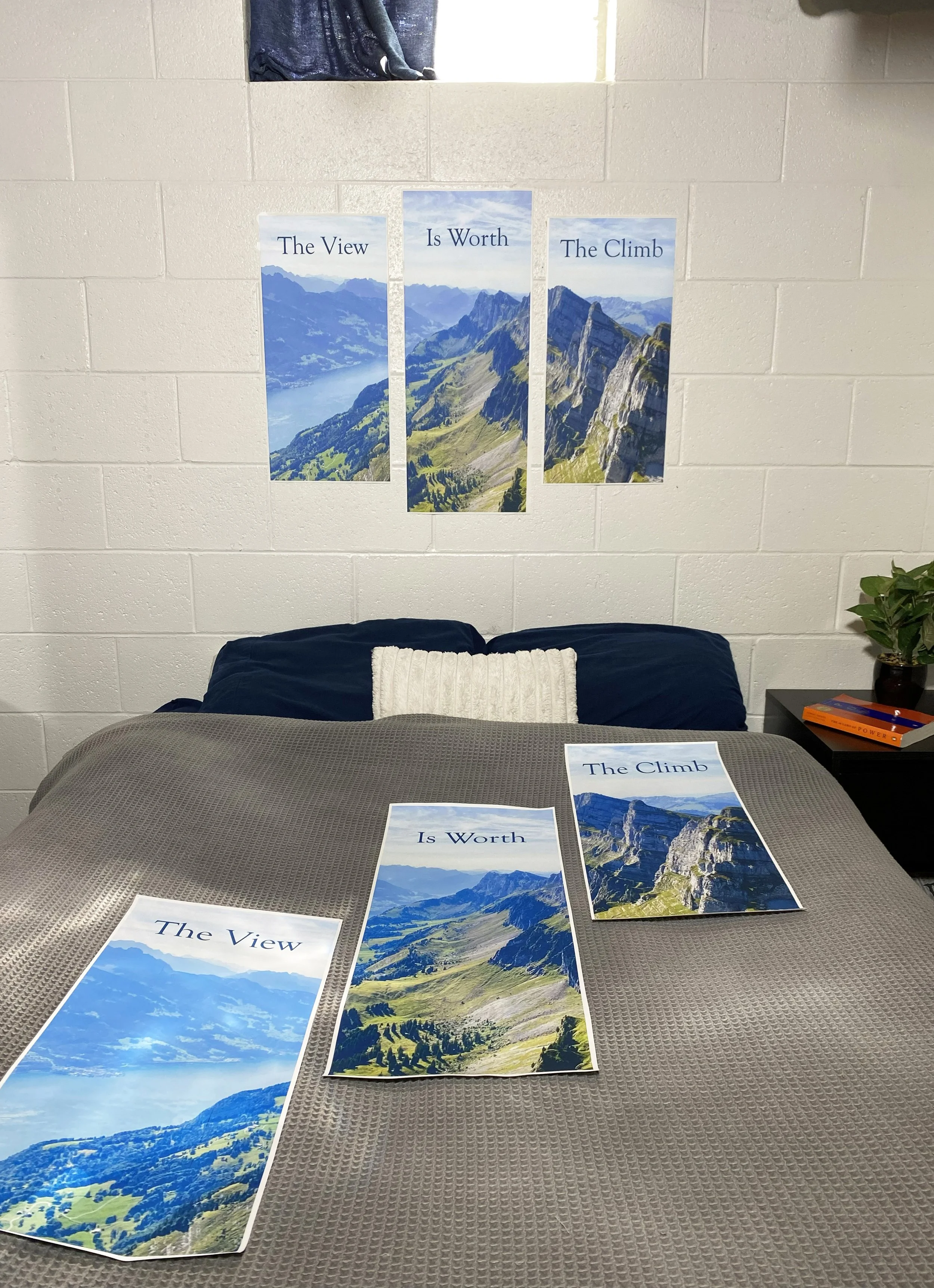 Product Example (The Swiss Alps) (Bed) (Multi).jpg