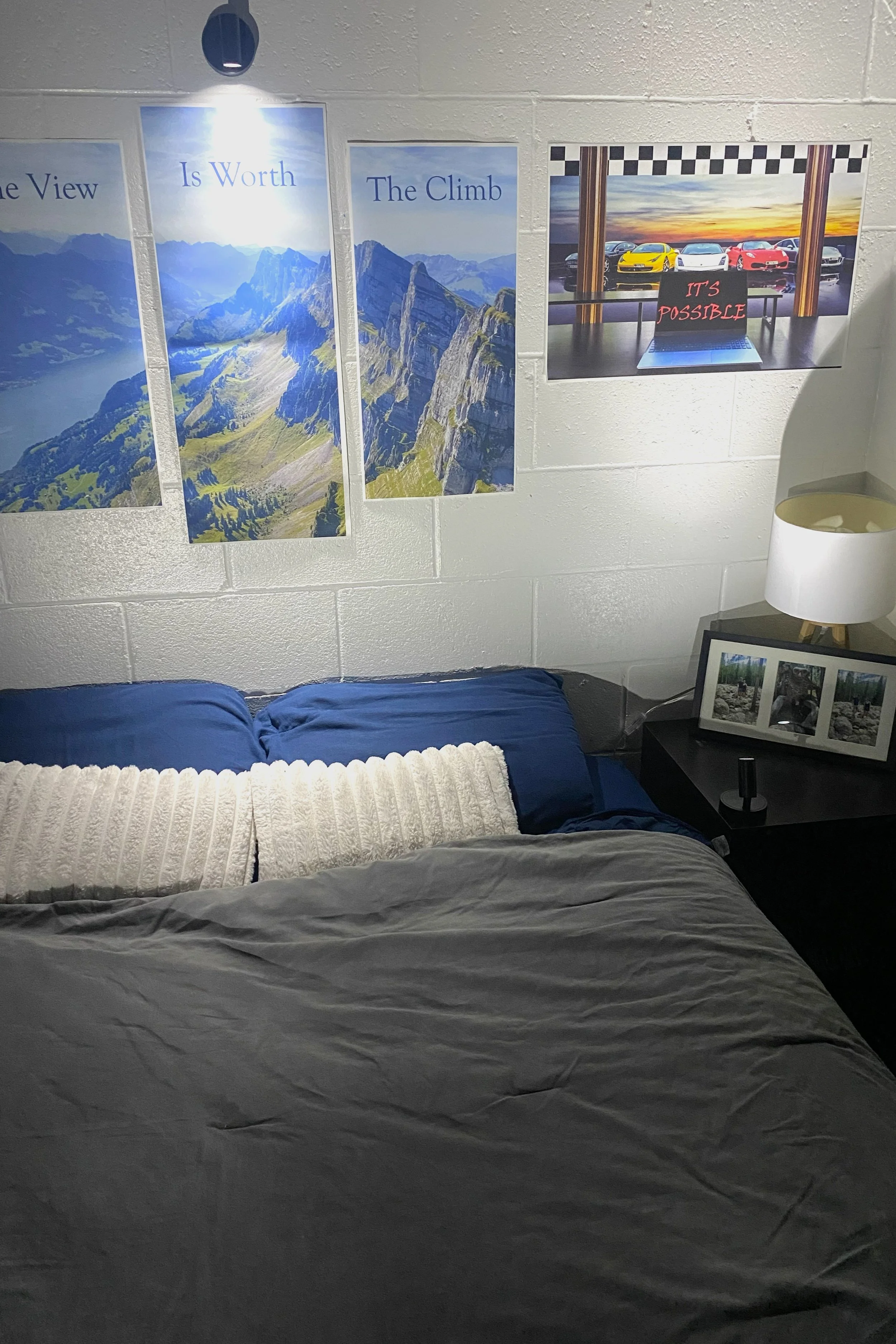 posters in room ex.jpg