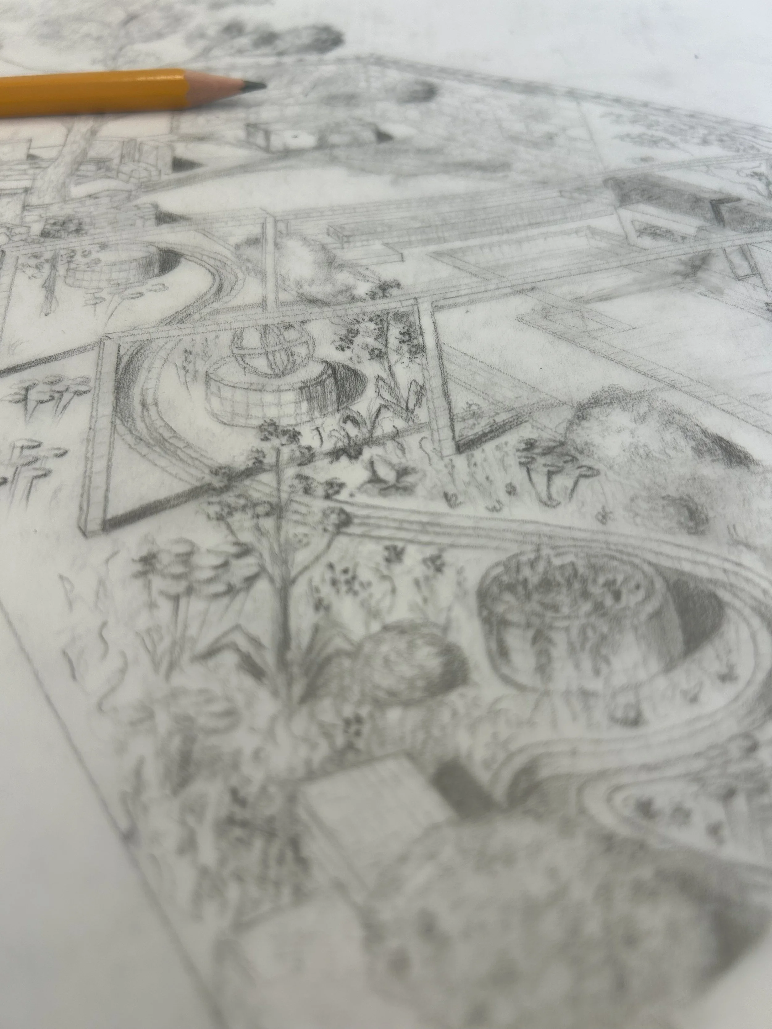 A detailed pencil sketch of a landscaped park with pathways, trees, and a fountain.