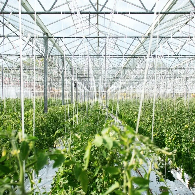 Alternative Farming - A Need for the Future