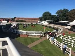 New Year Meet at Redcar Racecourse