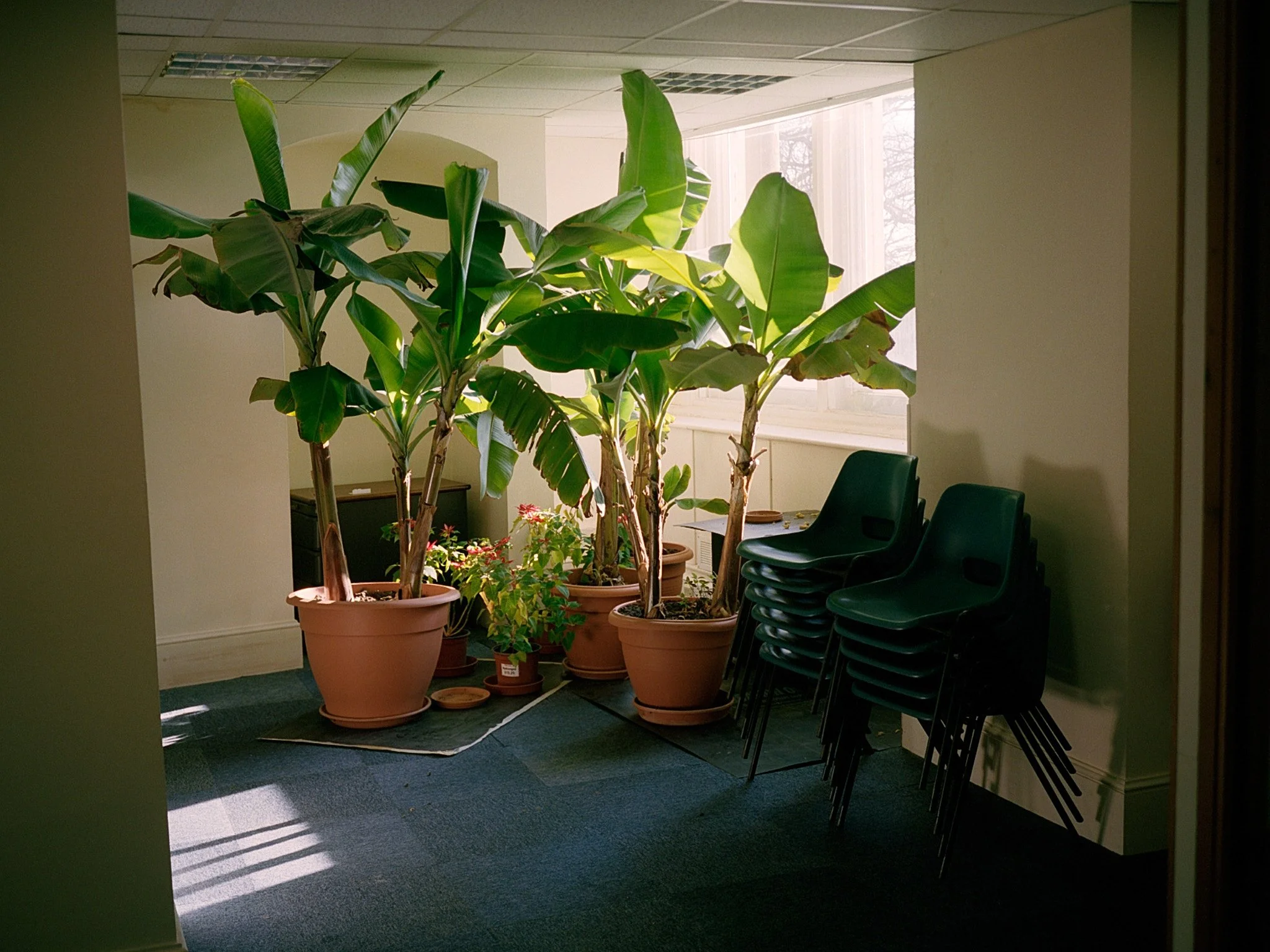 20190515_60.jpg