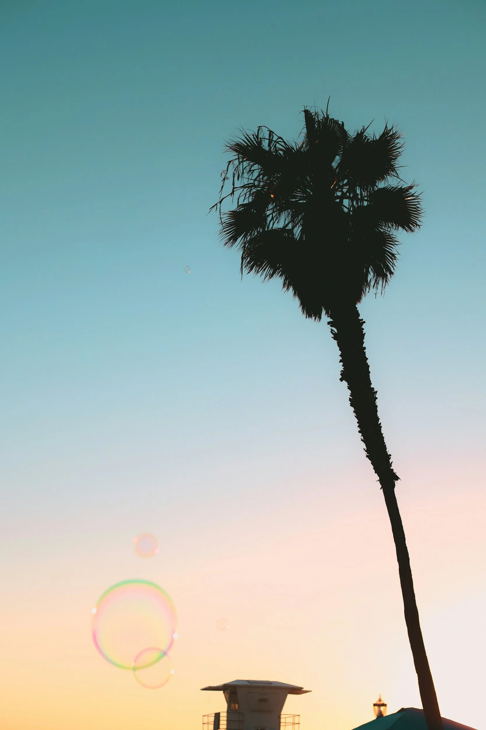 Silhouette of a tall palm tree against a colorful sunset sky with rainbow light circles and a lifeguard tower in the foreground.