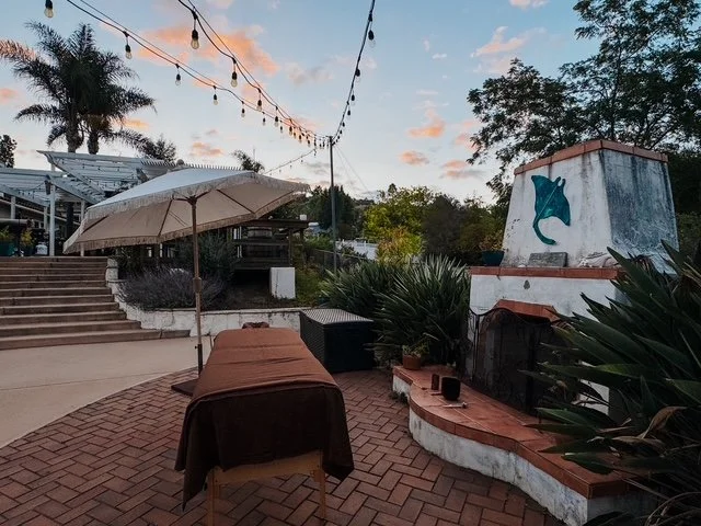 Outdoor patio area at sunset with string lights, a table covered with a brown cloth, a large umbrella, plants, and a white fireplace with a dolphin mural.
