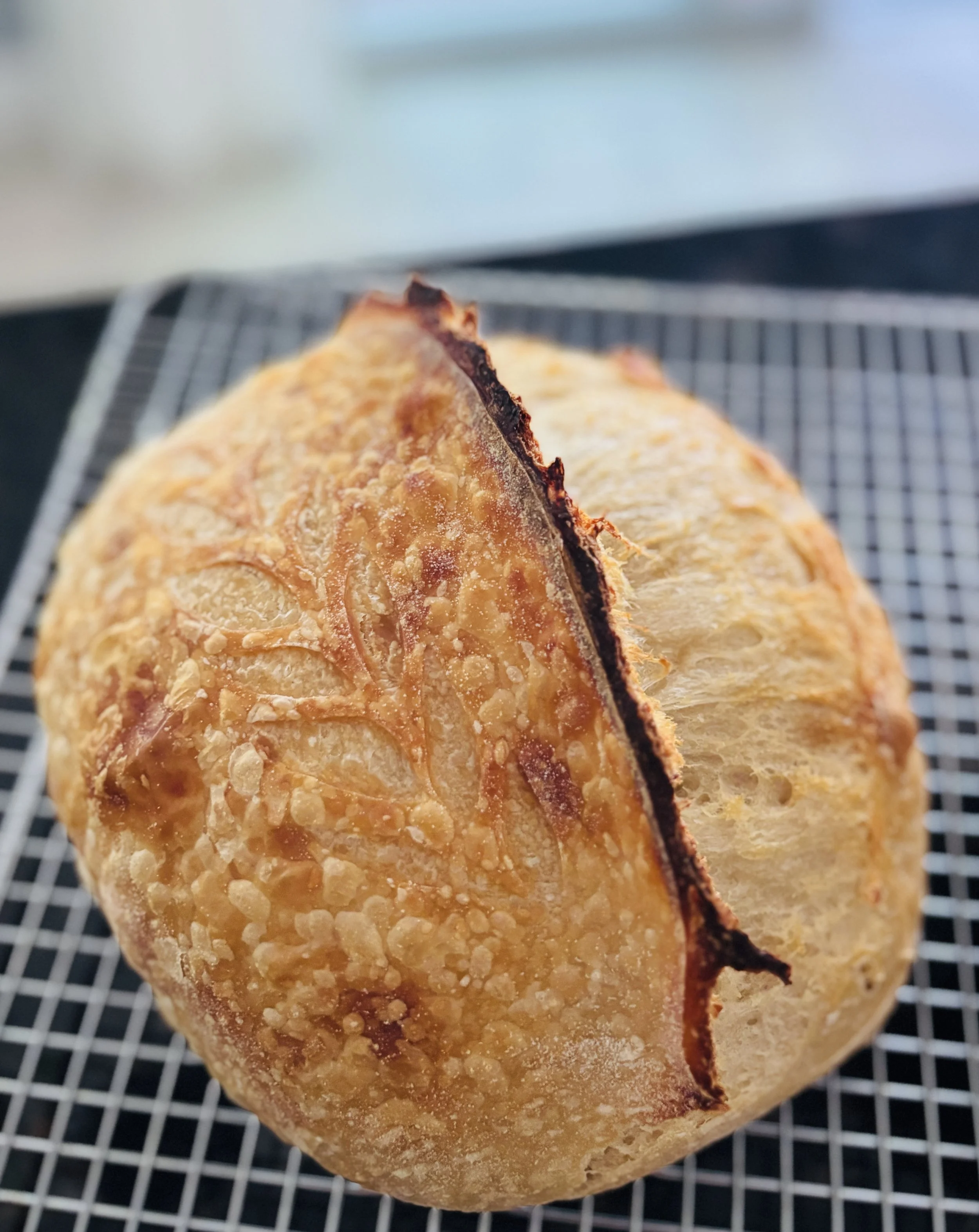 Plain Sourdough Loaf