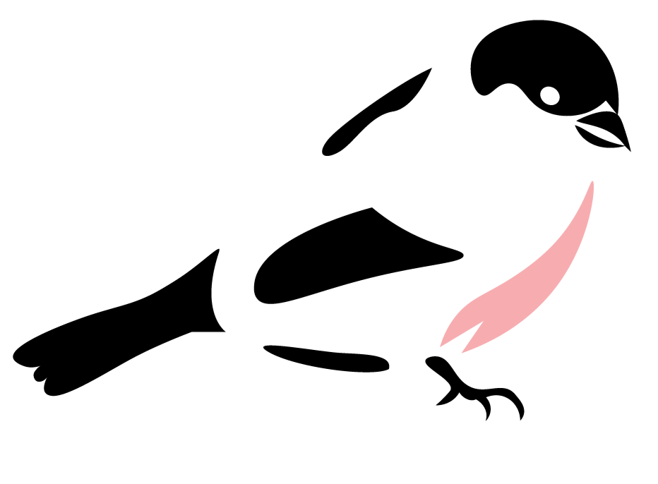 Illustrated black and pink bird.