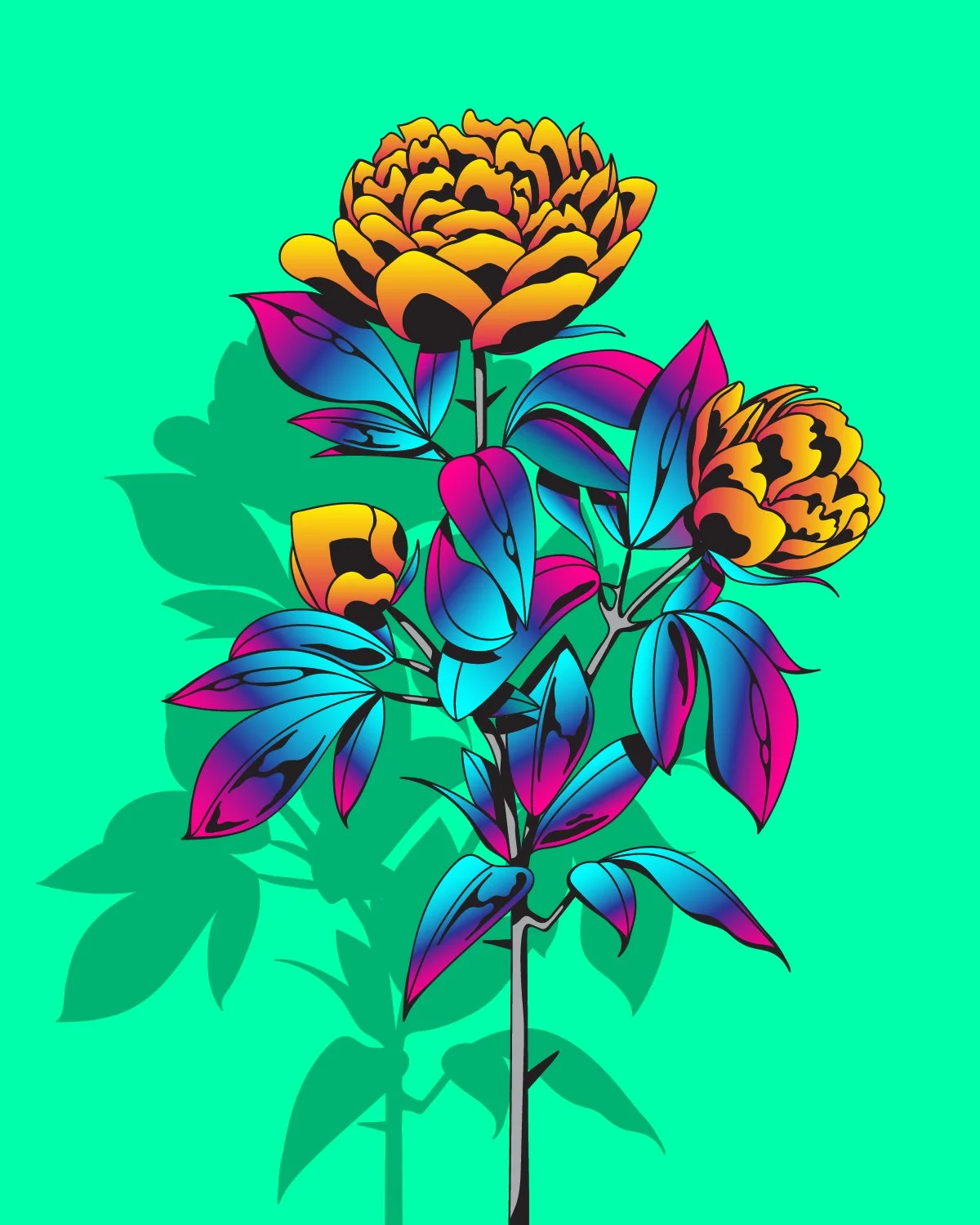 peony studyyy-01.jpg