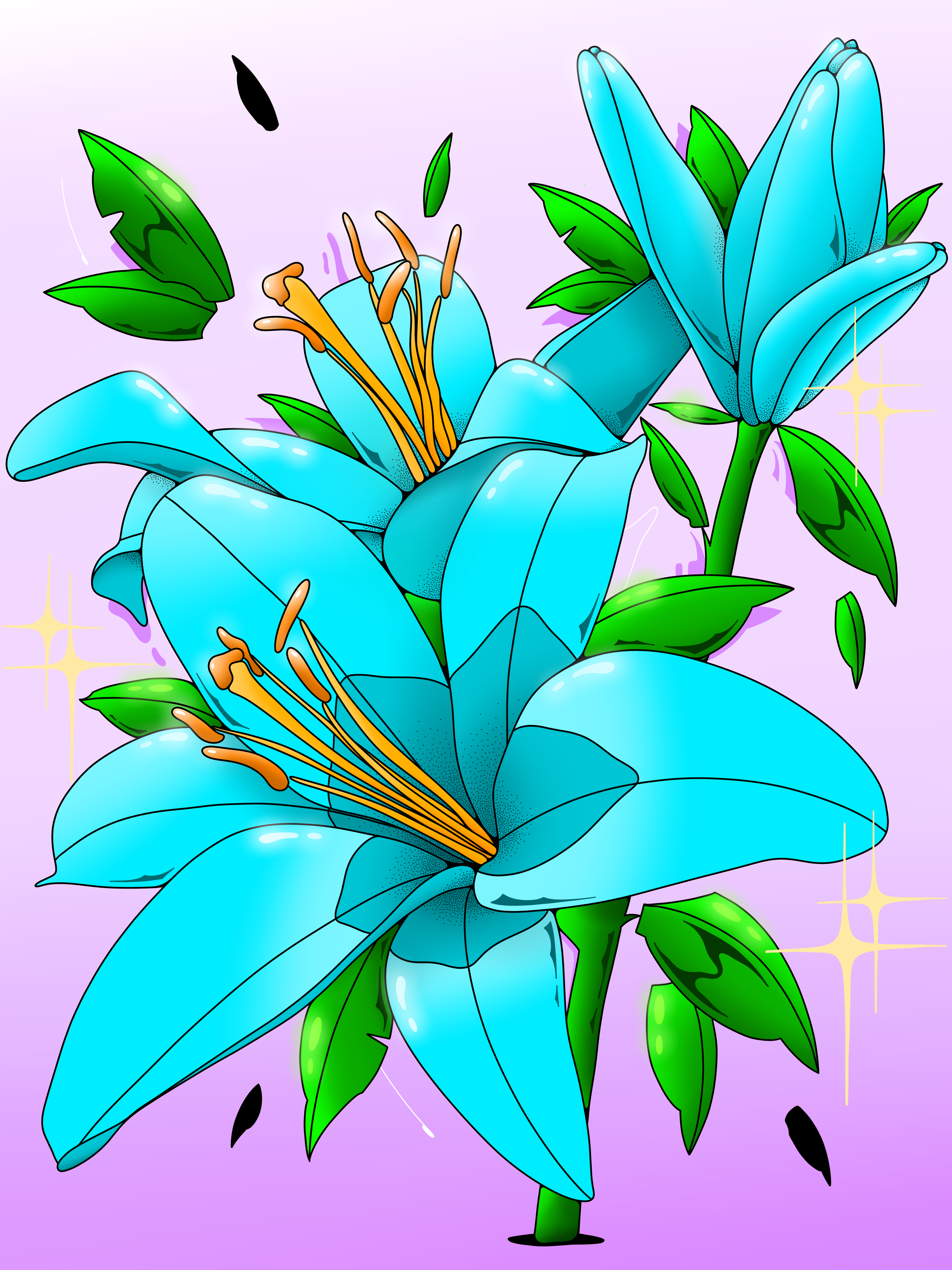 IMG_0186.png