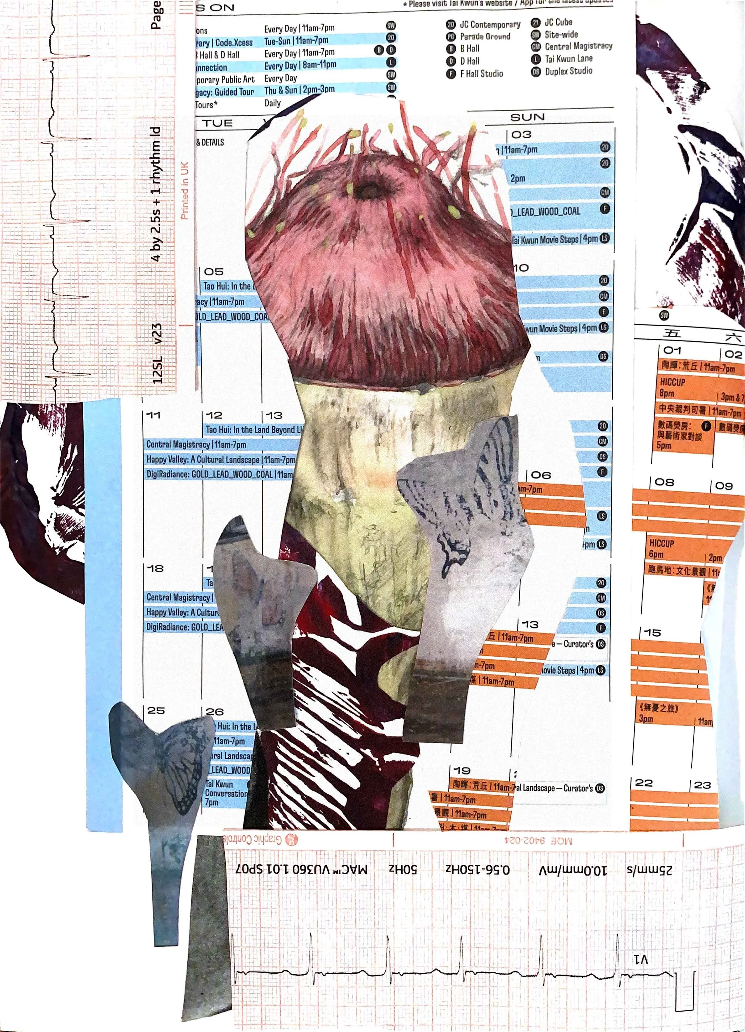 Concert (gallery schedules, heart scan report, watercolour painting by my friend Edwina, photos of butterflies from Raleigh, paint clippings)