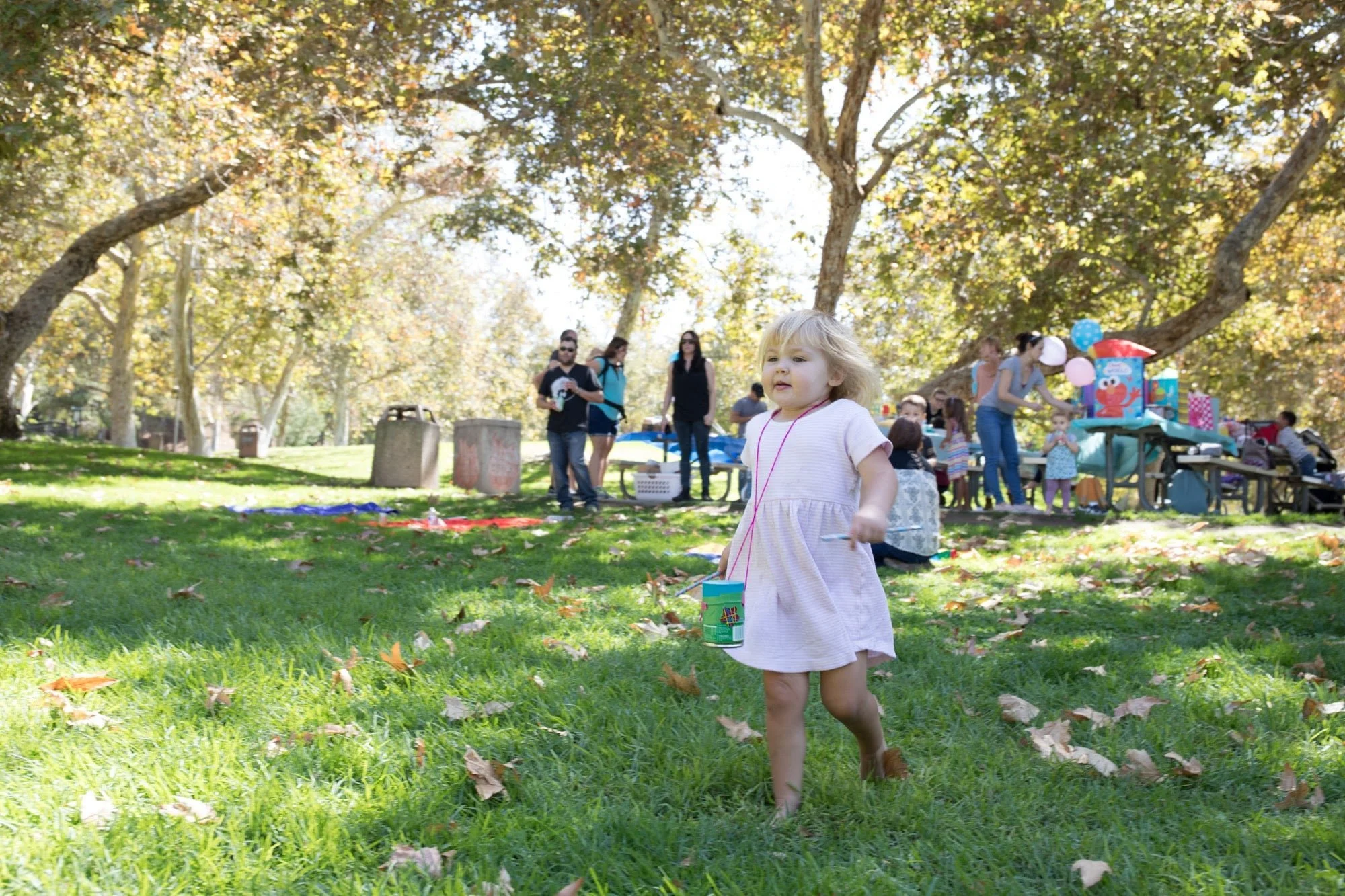 20170923_4452 (2)-min.jpg