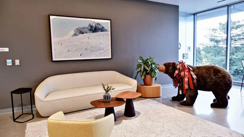 Modern office lounge with a white sofa and a stuffed bear wearing a ribbon. A framed mountain photo hangs on the gray wall. Potted plant and side tables complete the decor.