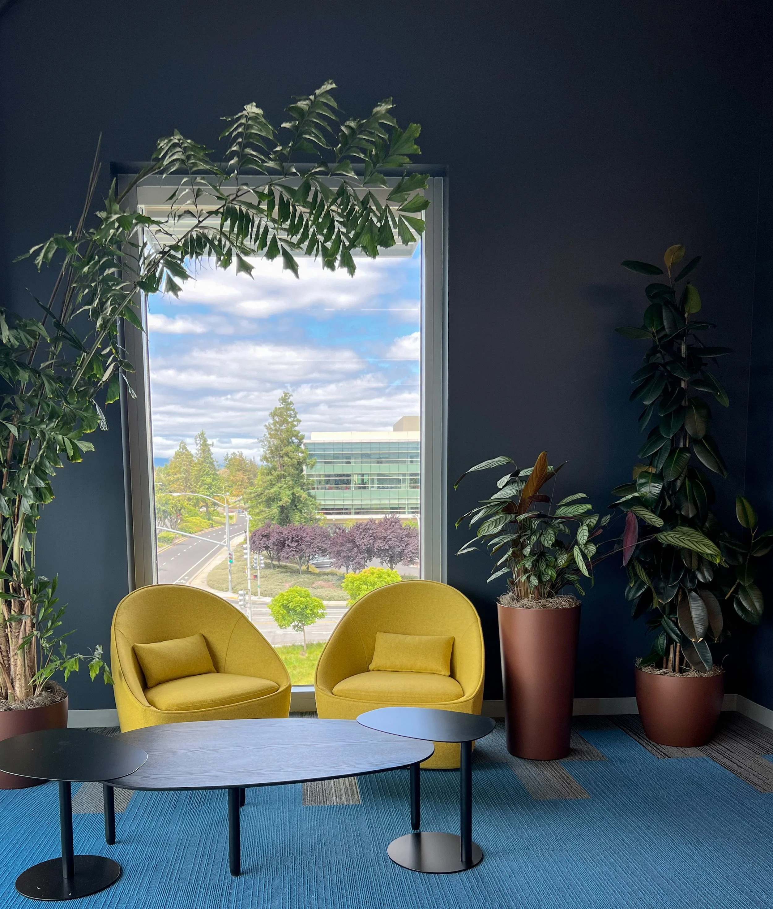 2023-05-26 11.13.32 (1).JPG