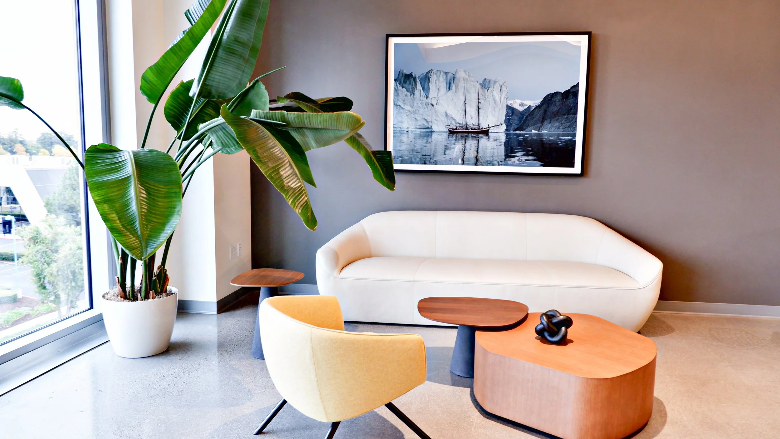 Modern office seating area with a white curved sofa, yellow chair, wooden tables, large potted plant, and framed wall art of an iceberg.