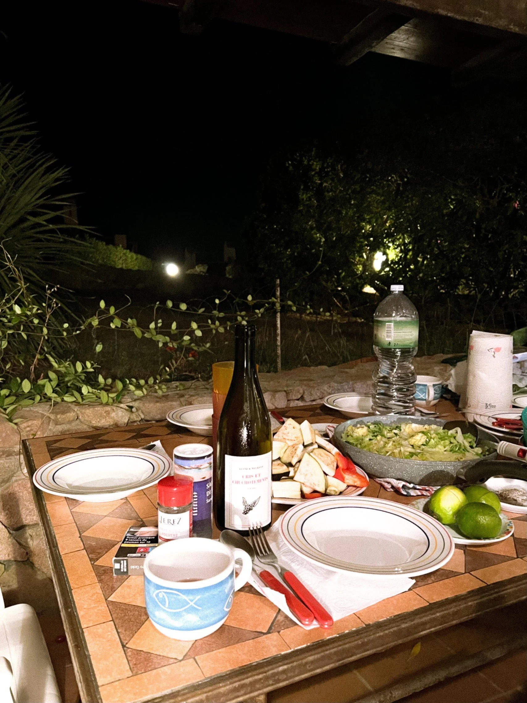 Outdoor dinner table set for a meal, with plates, drinks, salad, bread, limes, wine, water bottle, and condiments, at night with a dark sky and garden in the background.