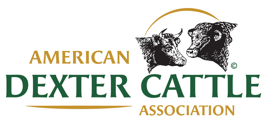 National Dexter Expo
