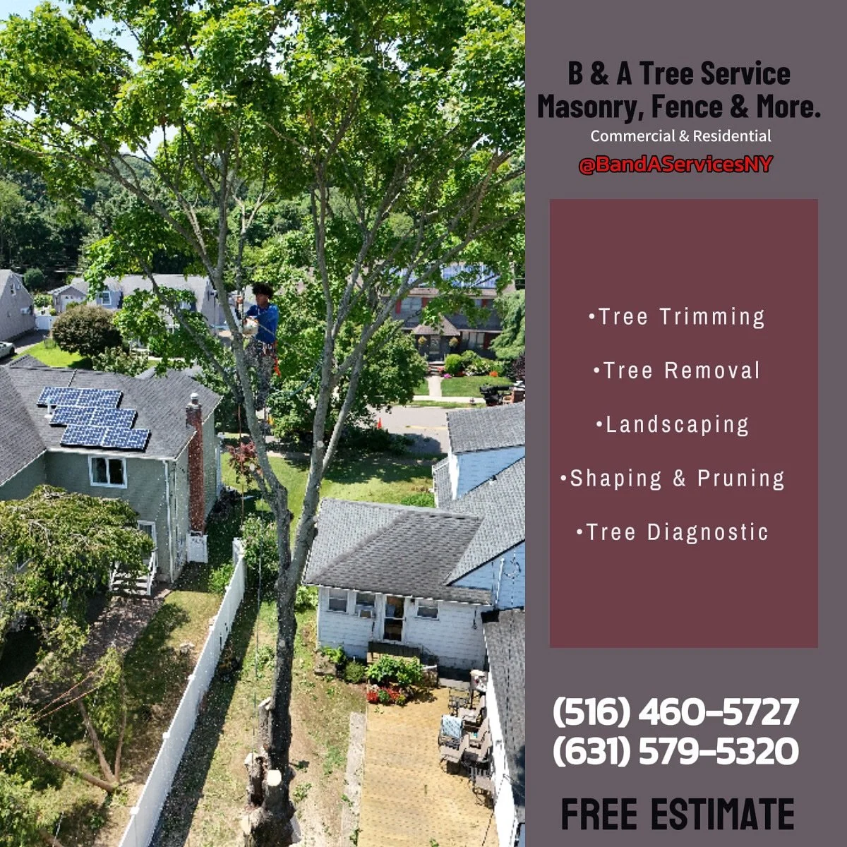 I should of taken more pictures! 

#DtMF #badbunny #treeservice #treeremoval #treeprunning #treetrimming #treeshaping #homeimprovement #beforeandafter #treecompany #goals #2025 #seeyouagain