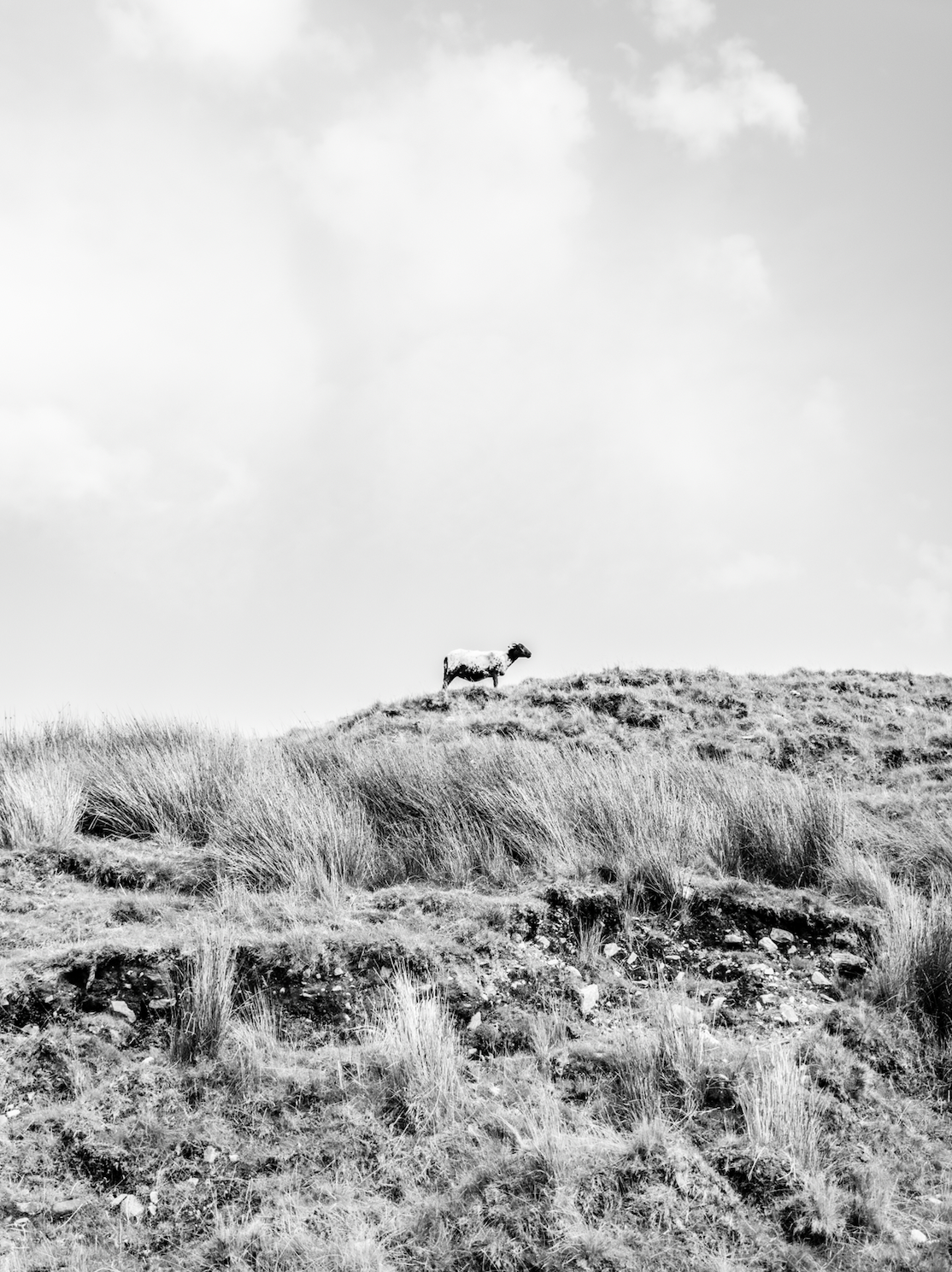 Screen Shot 2025-12-12 at 5.42.13 PM.png