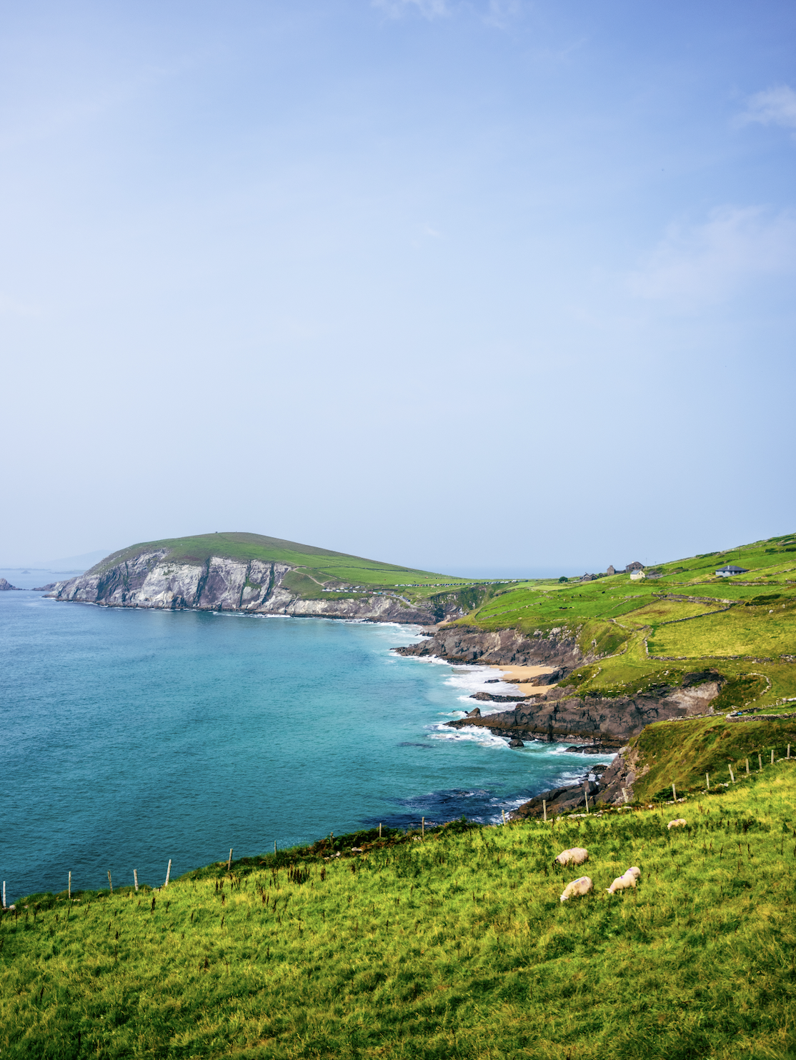 Screen Shot 2025-12-12 at 5.26.44 PM.png