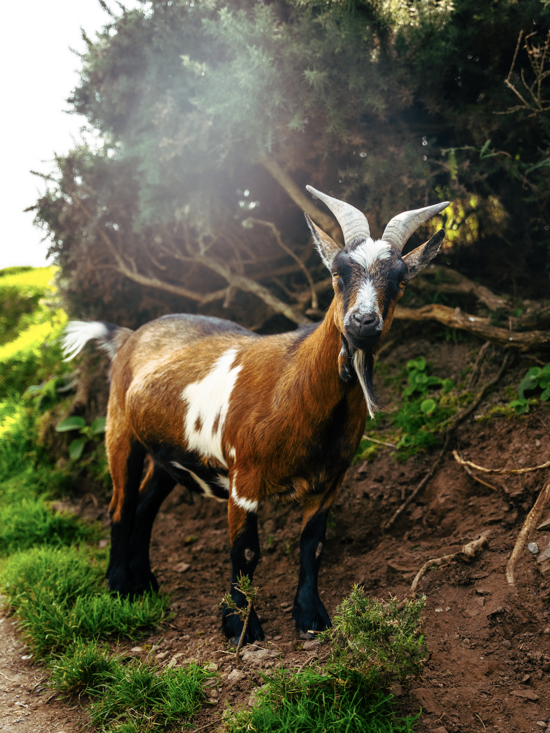 Screen Shot 2025-12-12 at 5.41.27 PM.png