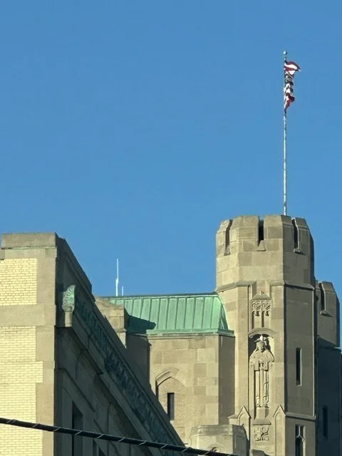 image11.jpeg