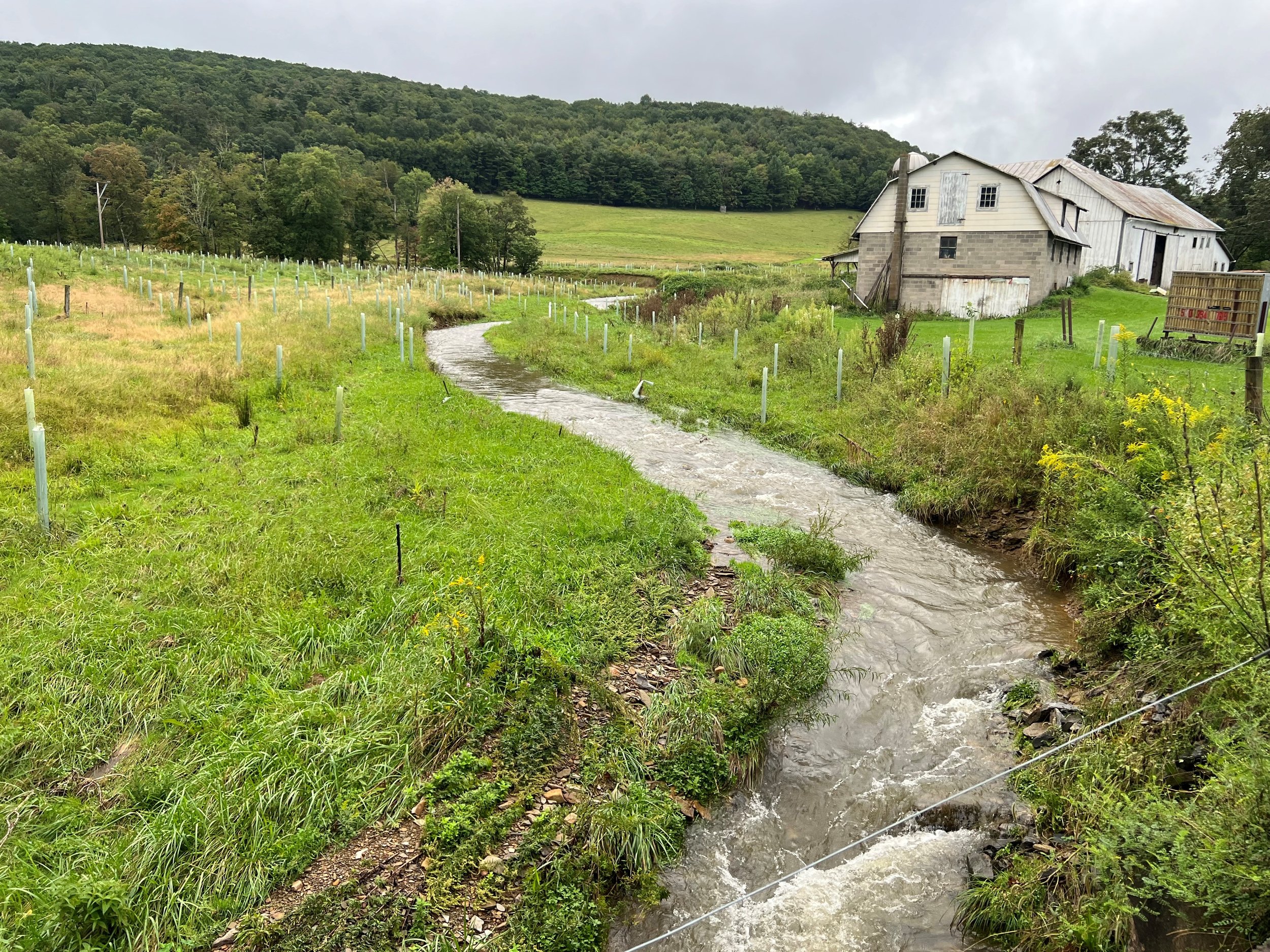Lycoming County Image 5.jpg