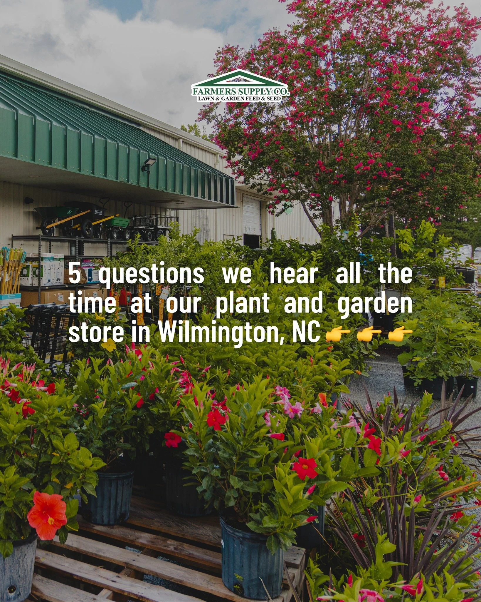 Don&rsquo;t worry, you&rsquo;re not the only one with questions. In fact, answering them is one of our favorite parts of the job!! Got one of your own? Swing by anytime, we&rsquo;d love to chat. 😎

#gardenstore #wilmingtonnc #downtownwilmington