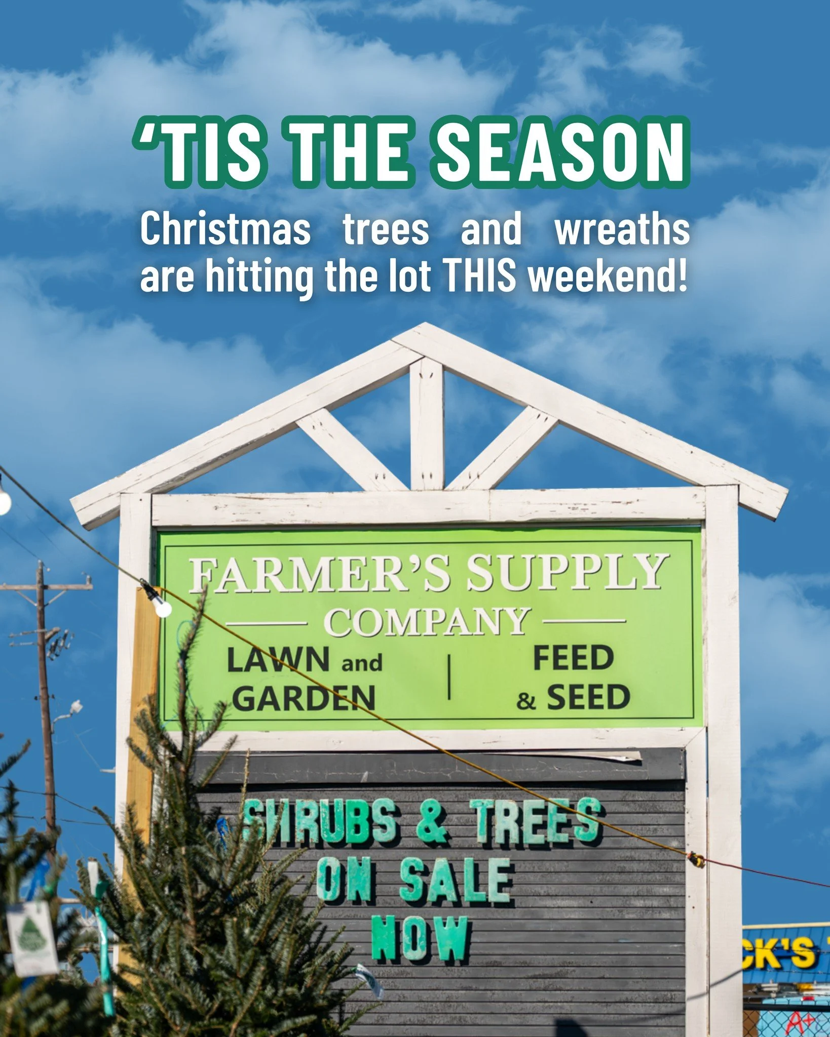 You can almost smell the fresh-cut pine already. 🎄

Christmas trees hit the lot this weekend along with wreaths, poinsettias, and Christmas cactus to round out your holiday porch!

And just like old times, the lot will be worked by neighborhood high