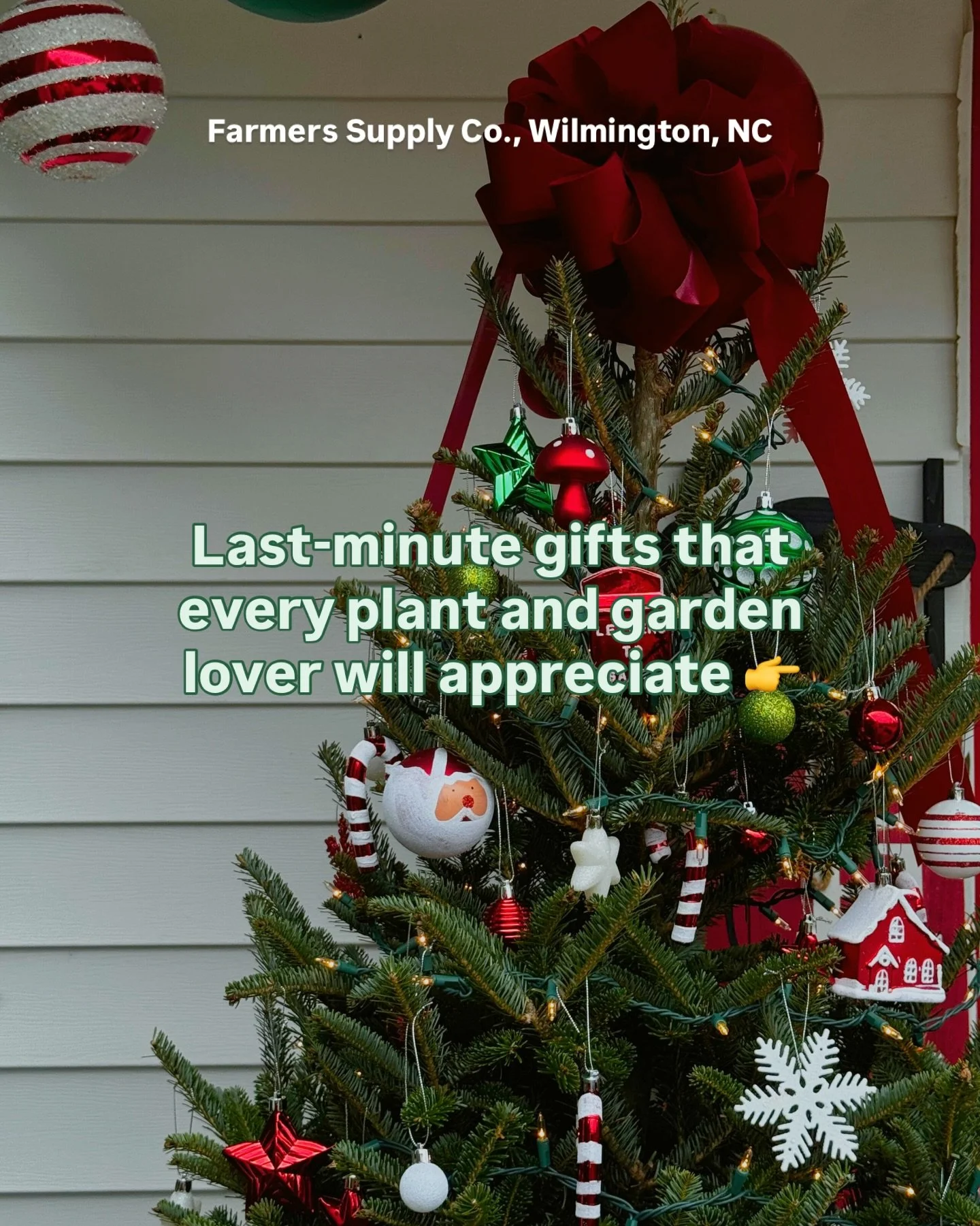 We never mean to wait till the last minute, but the holidays have a way of sneaking up on us, don&rsquo;t they?

Lucky for you, we&rsquo;ve got plenty of gift-worthy finds around the shop that plant and garden folks will love. 😎

#holidays #gardenst