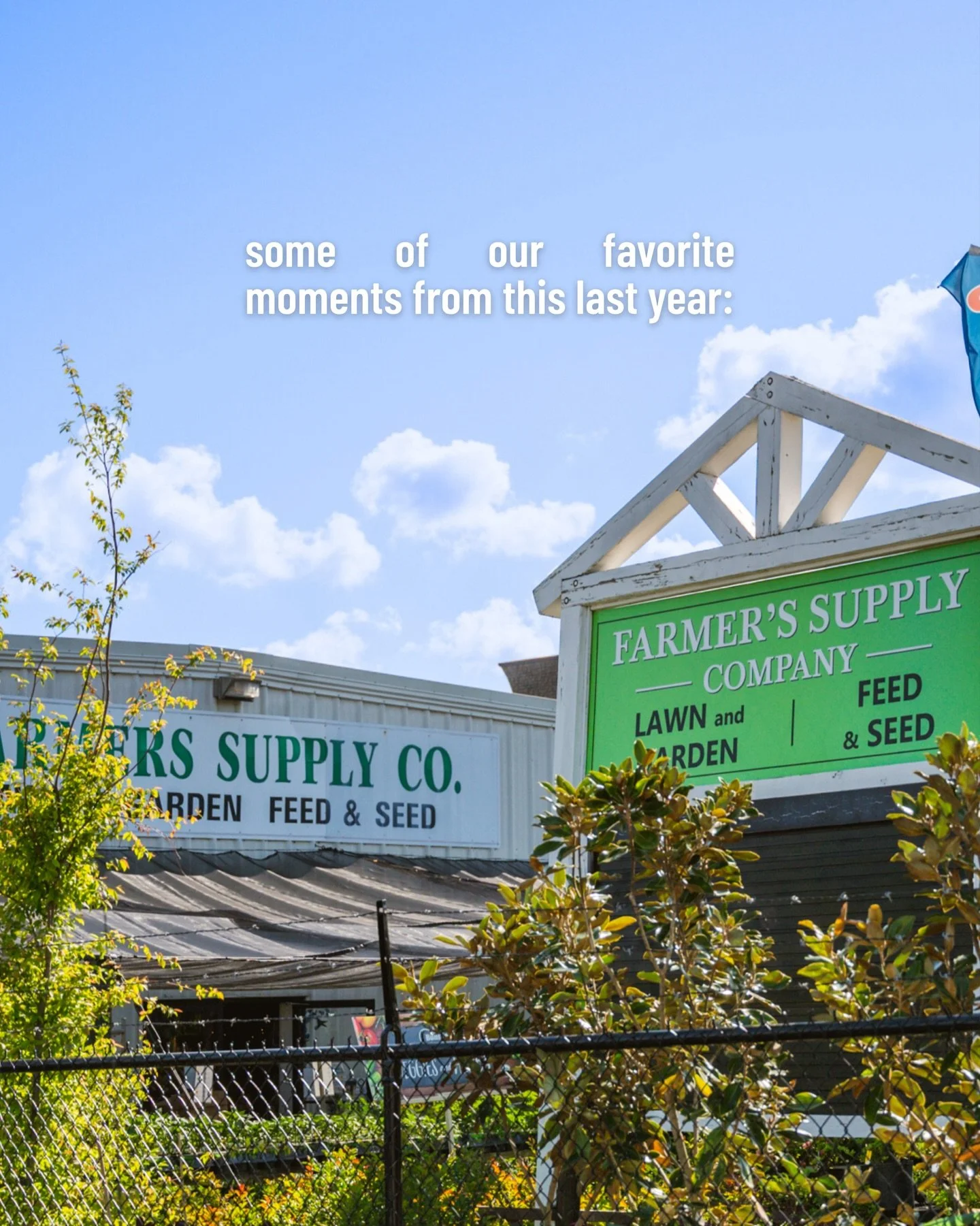 This last year gave us plenty to be thankful for, and y&rsquo;all are at the top of that list. 🫶 Thanks for supporting local, trusting us with your plants, and stopping by as often as you do. Here&rsquo;s to another great year ahead. 😎

#newyear #g