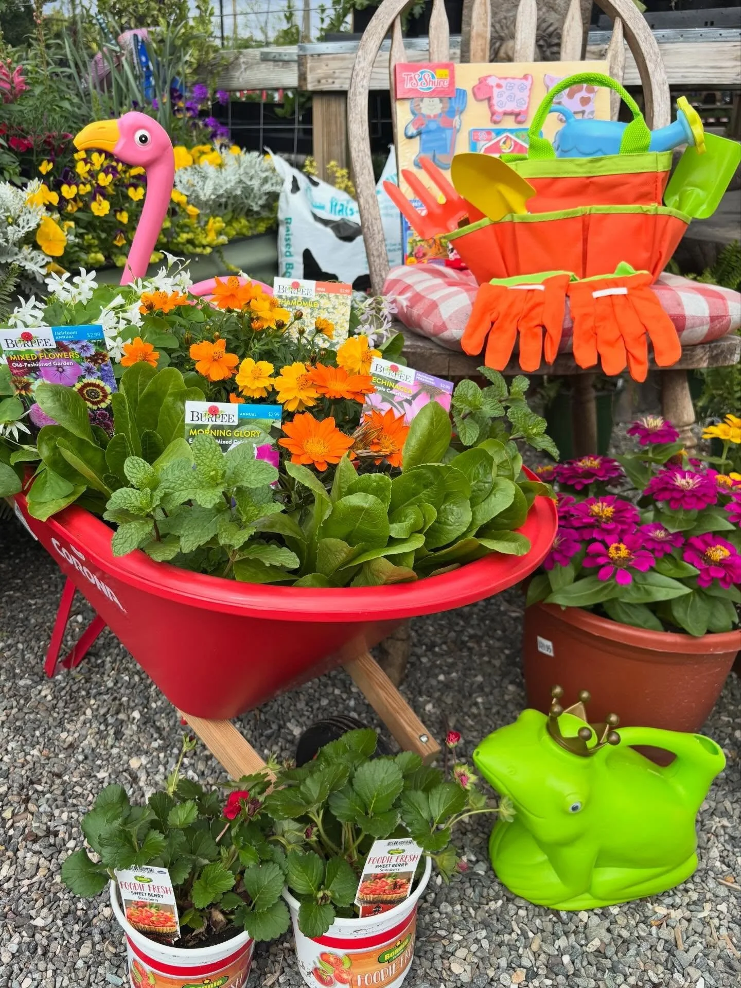 The Easter Bunny loves to shop at Farmers Supply!
#shoplocal #supportlocal #gardencenter