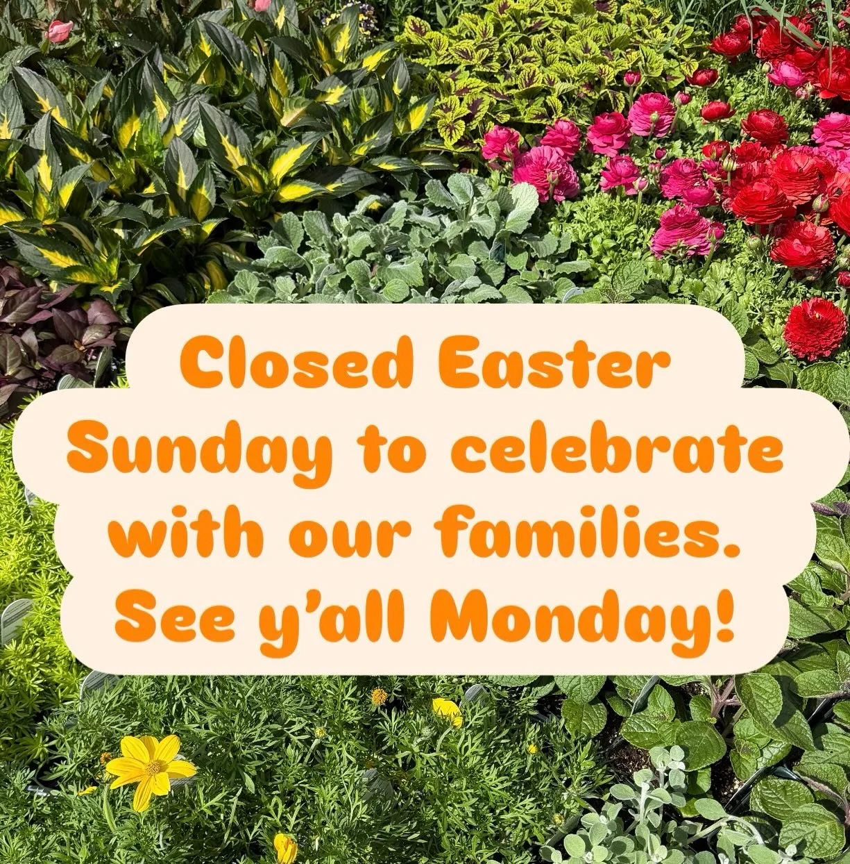 He is Risen! See y&rsquo;all Monday! #resurrectionsunday✝️