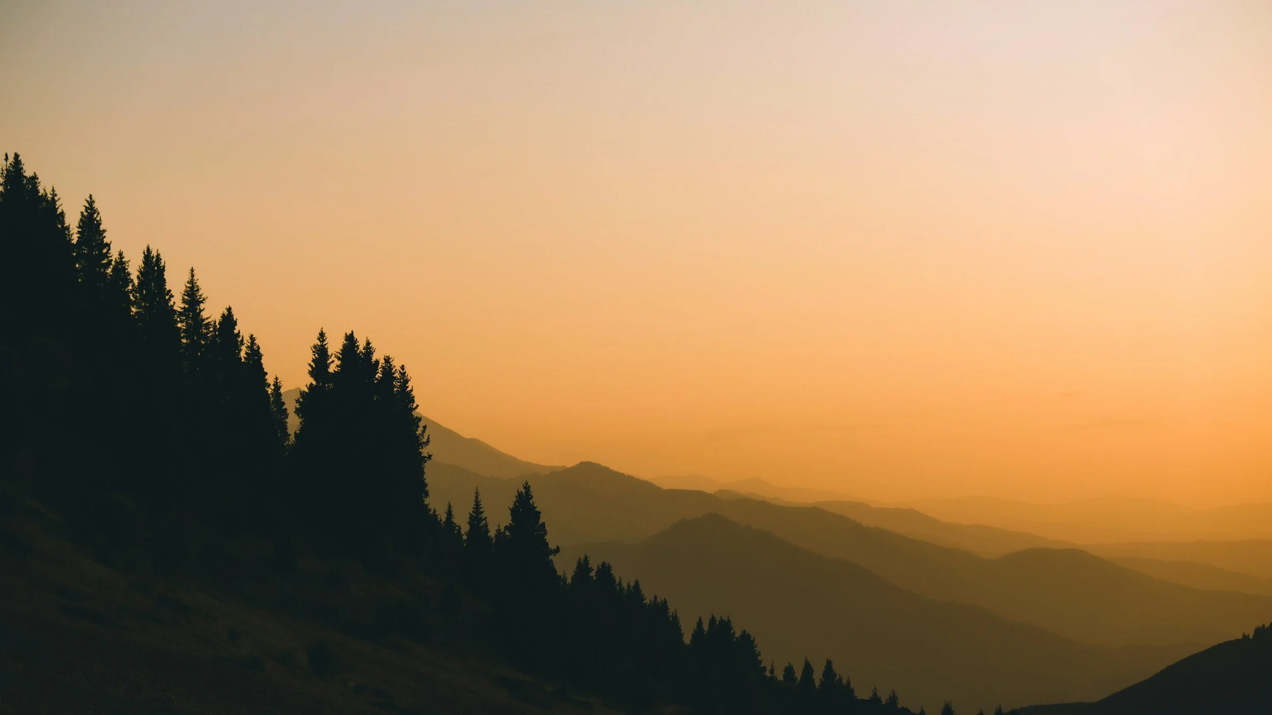 unsplash-image-sqCpmM59VkU.jpg