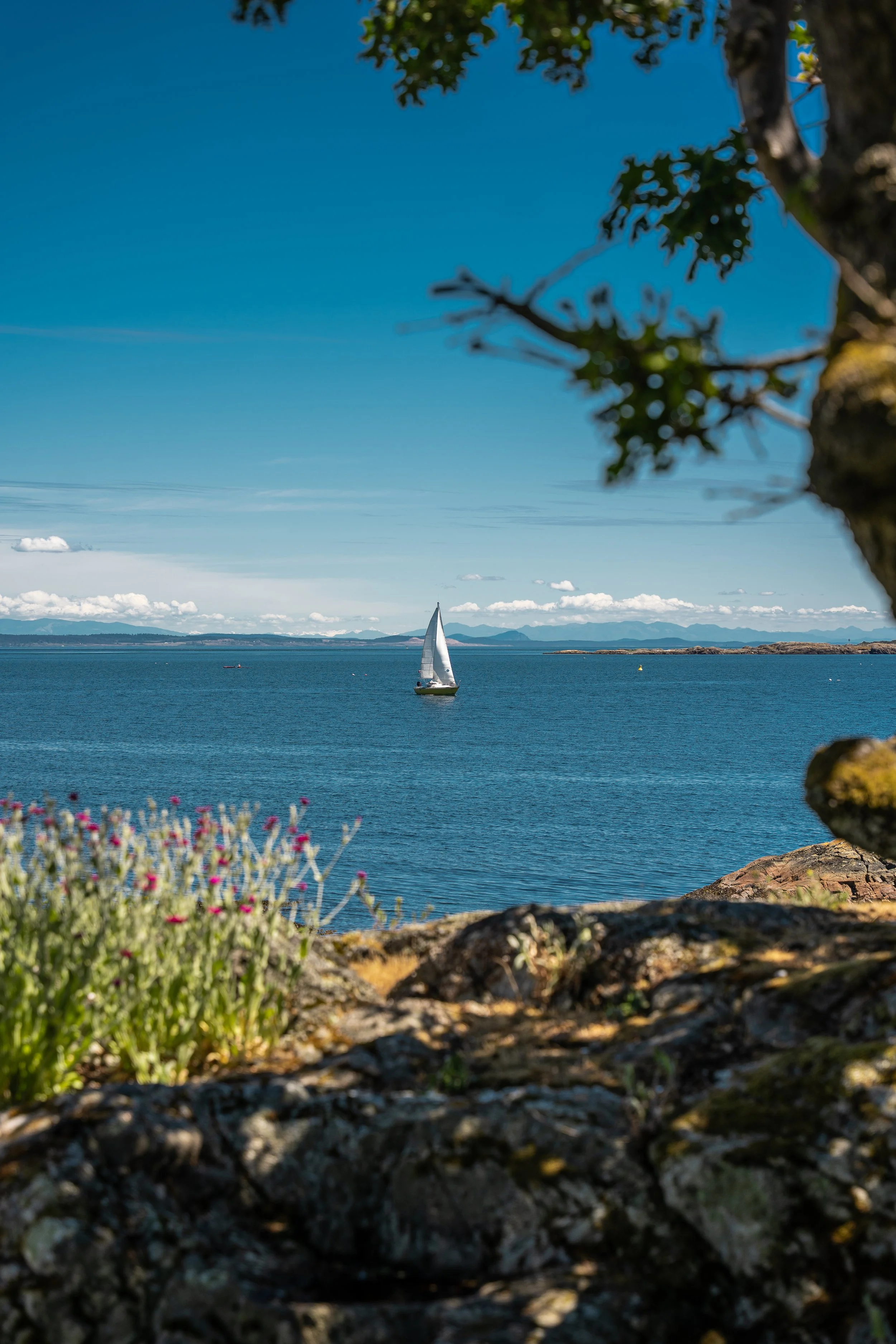 Riffington_Portfolio_-28.jpg