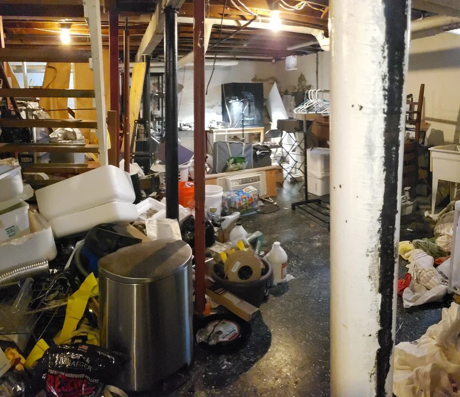 Welcome to the Basement Jungle