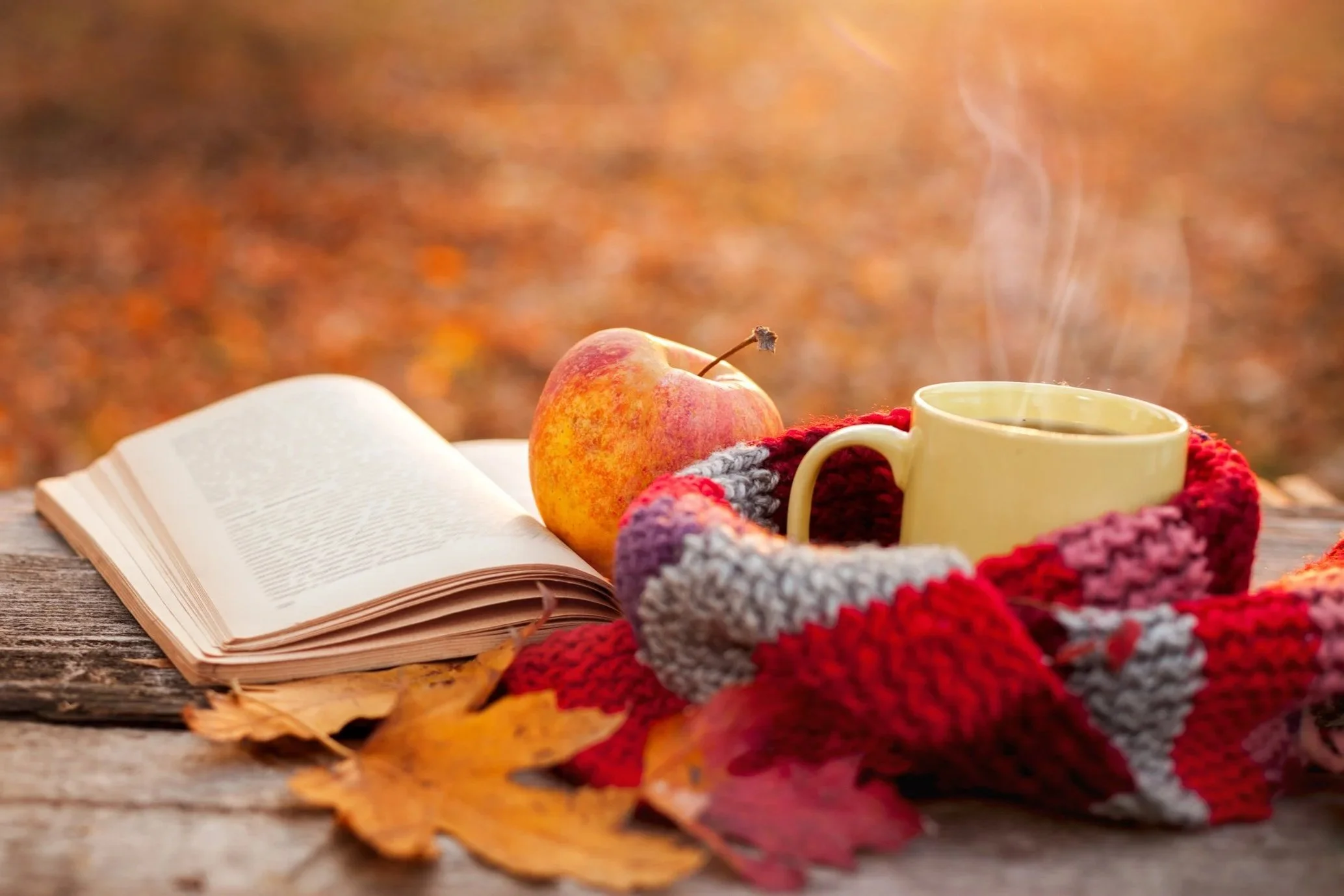 Autumn Wisdom: Exploring The Seven Spiritual Laws of Success