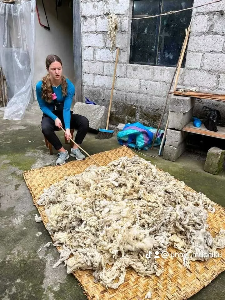 A woman sitting on a chair in an outdoor area, using a stick to clean or sort a large pile of raw, possibly slaughtered, animal skins or fat laid out on a woven mat.