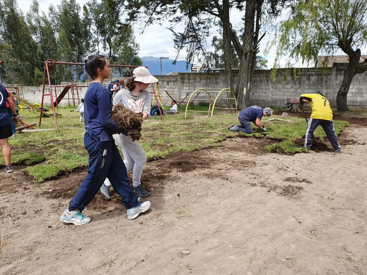 People planting grass in a playground area next to a playground with swings and a slide, with trees and a brick wall in the background.