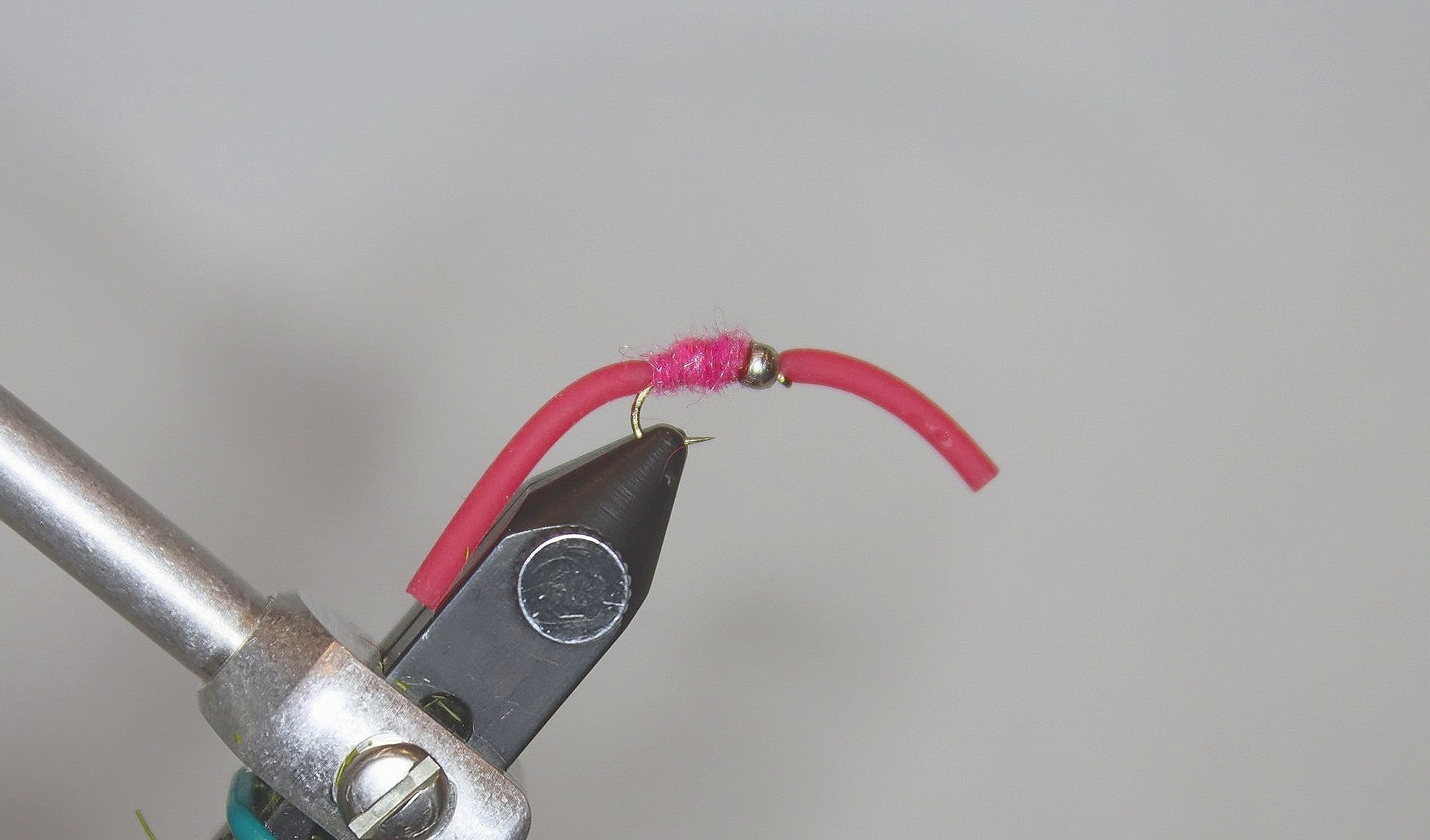 Gummy Worm