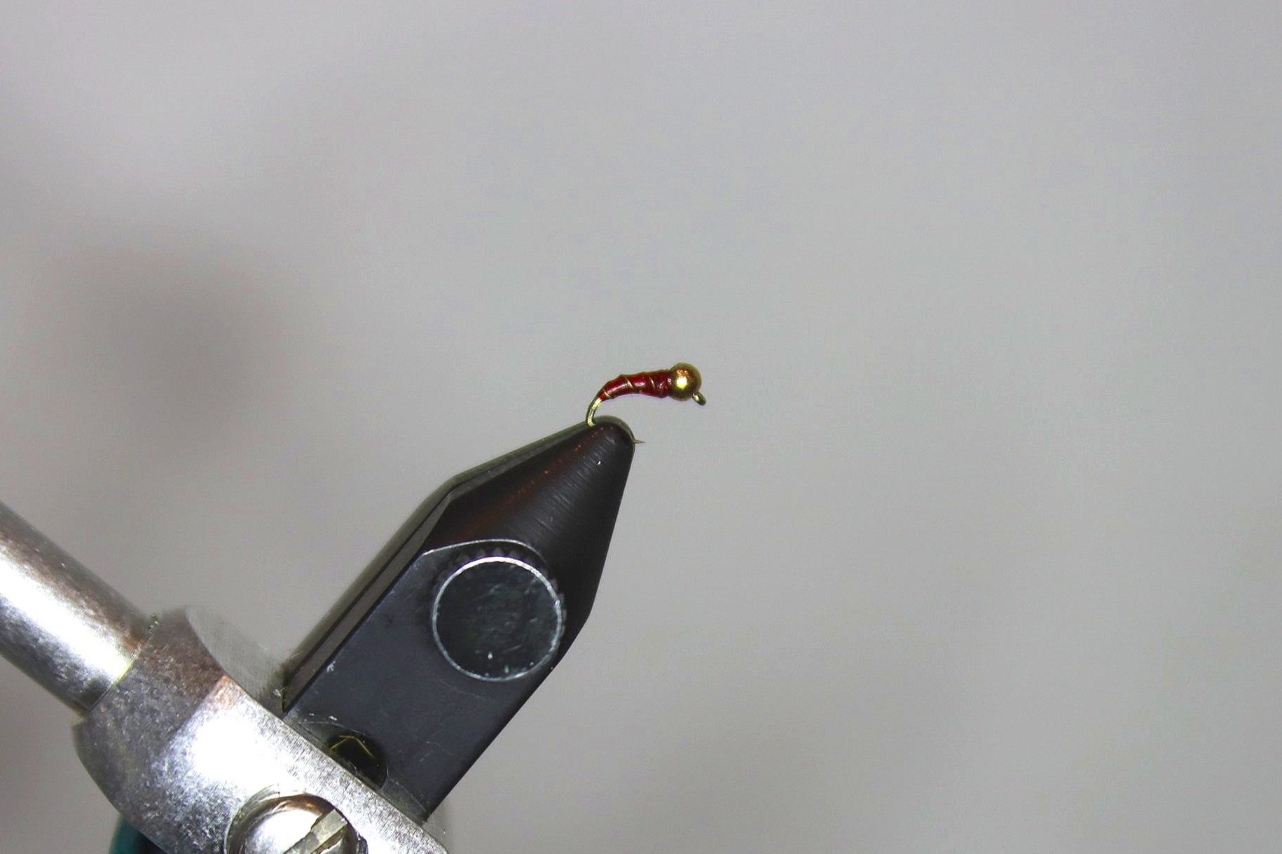 Red%2BZebra%2BMidge.jpg
