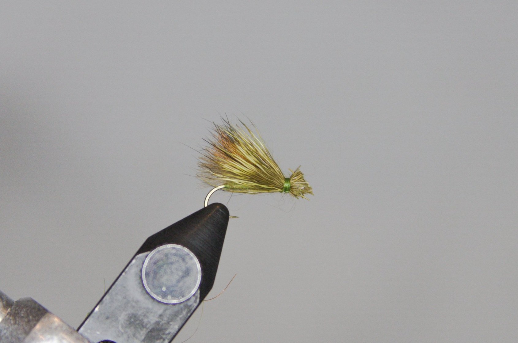 Grass-Fed Caddis