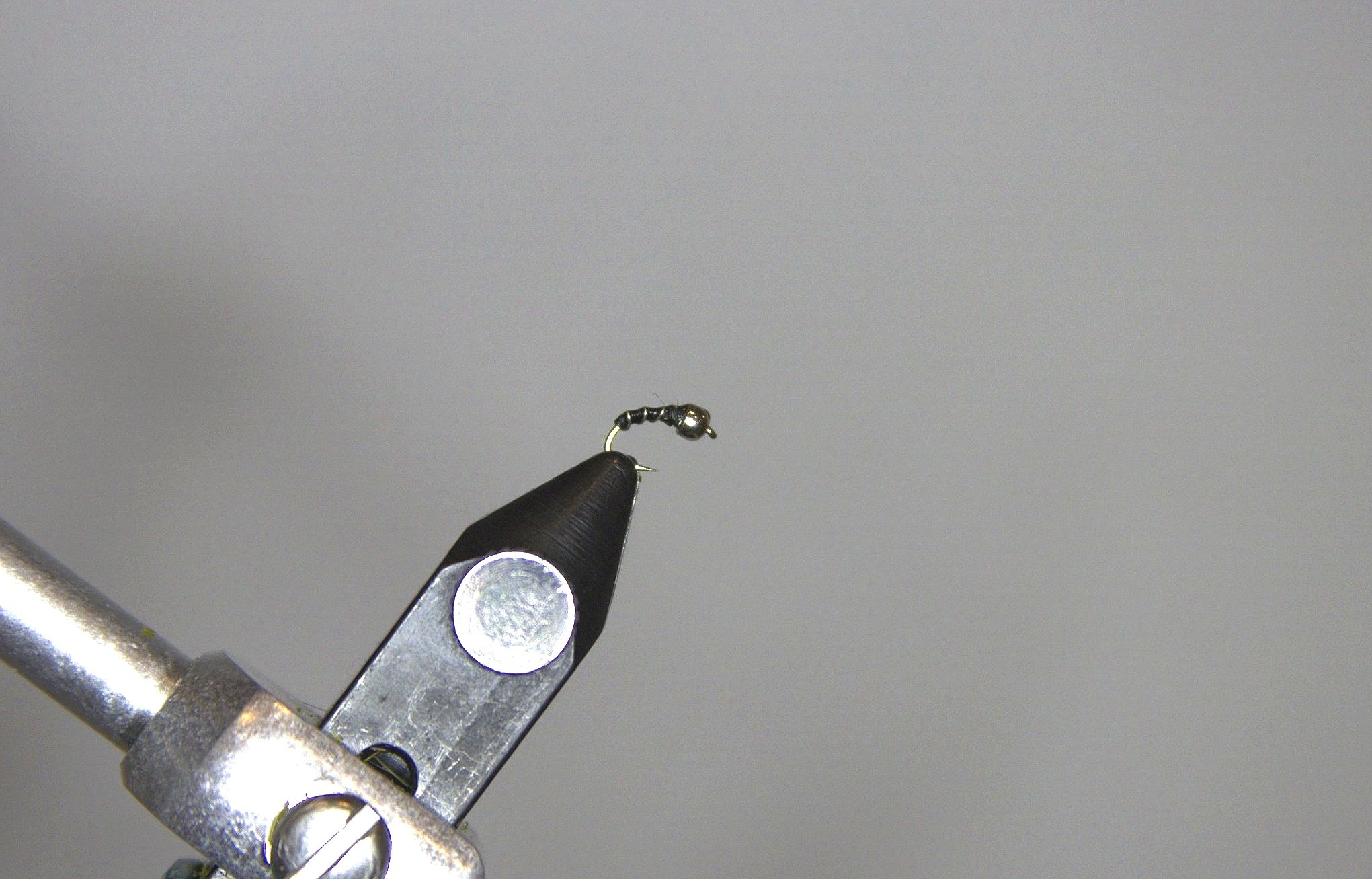 Black%2BZebra%2BMidge.jpg