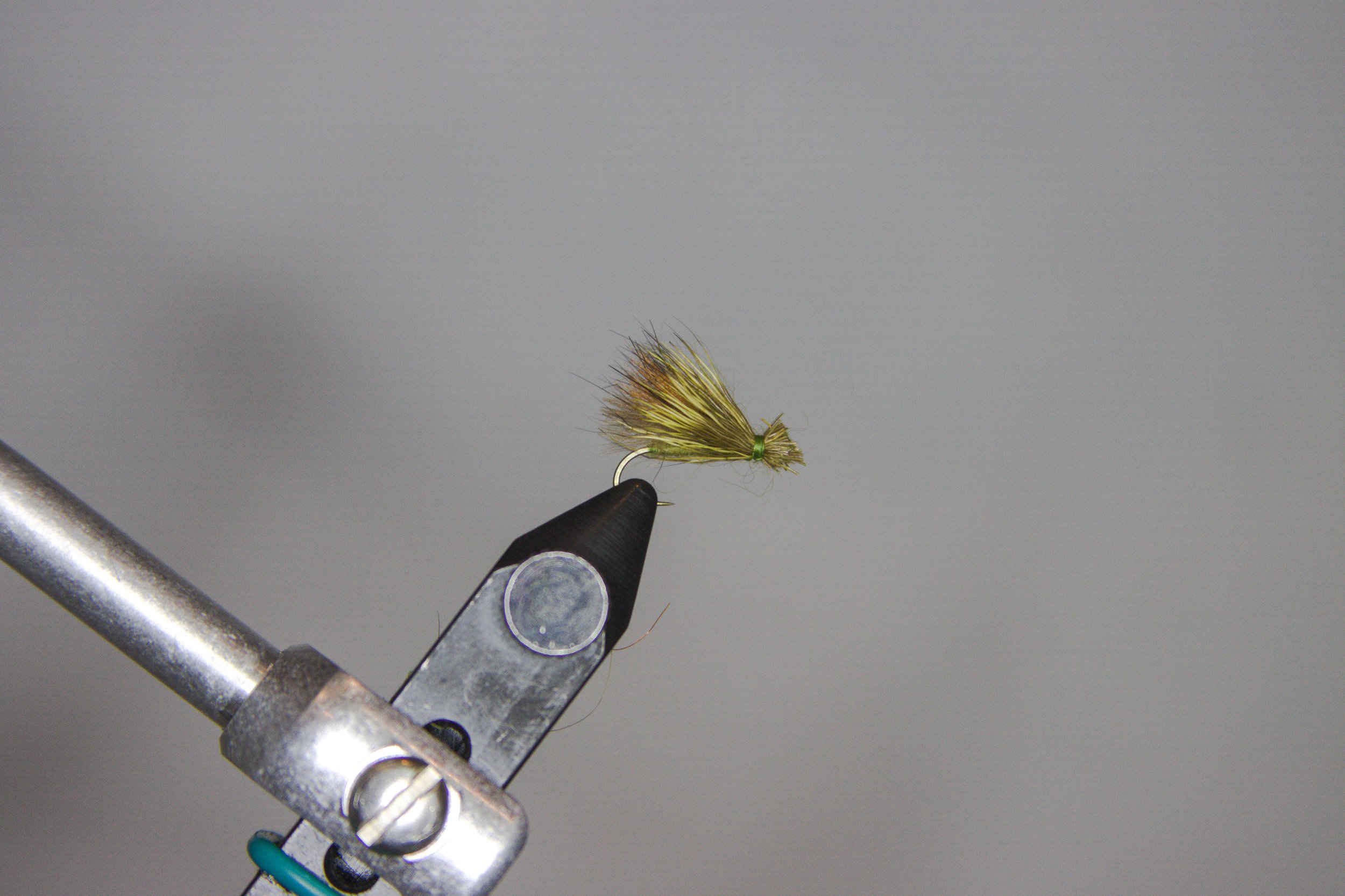 Grass-Fed pic 1_edited.jpg