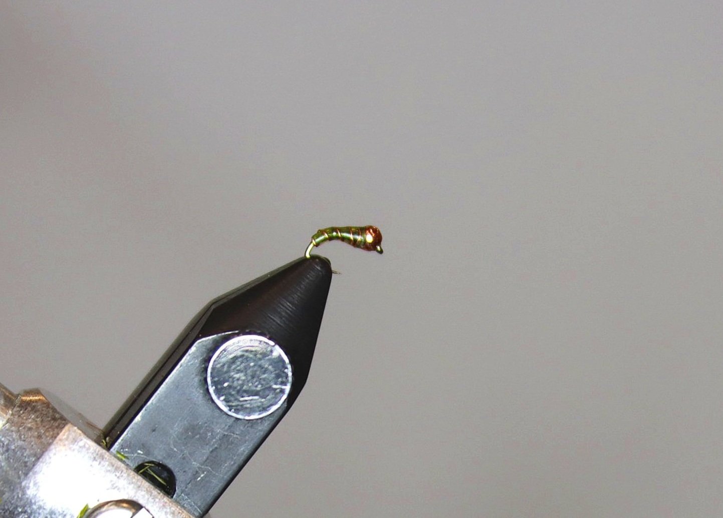Olive%2BZebra%2BMidge.jpg