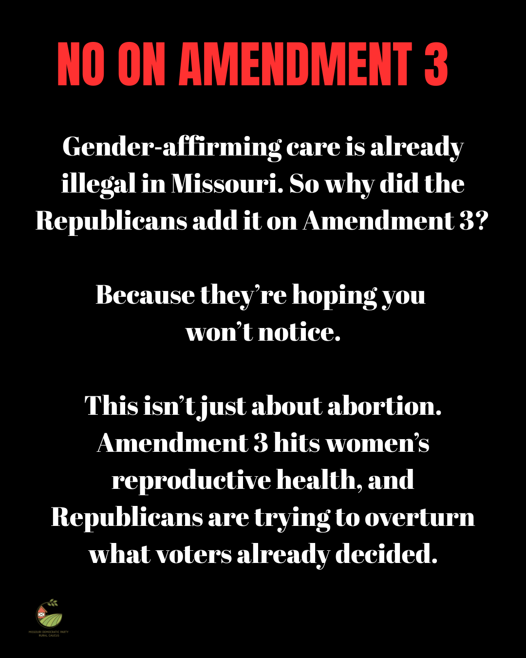 Amendment 3 (1).png