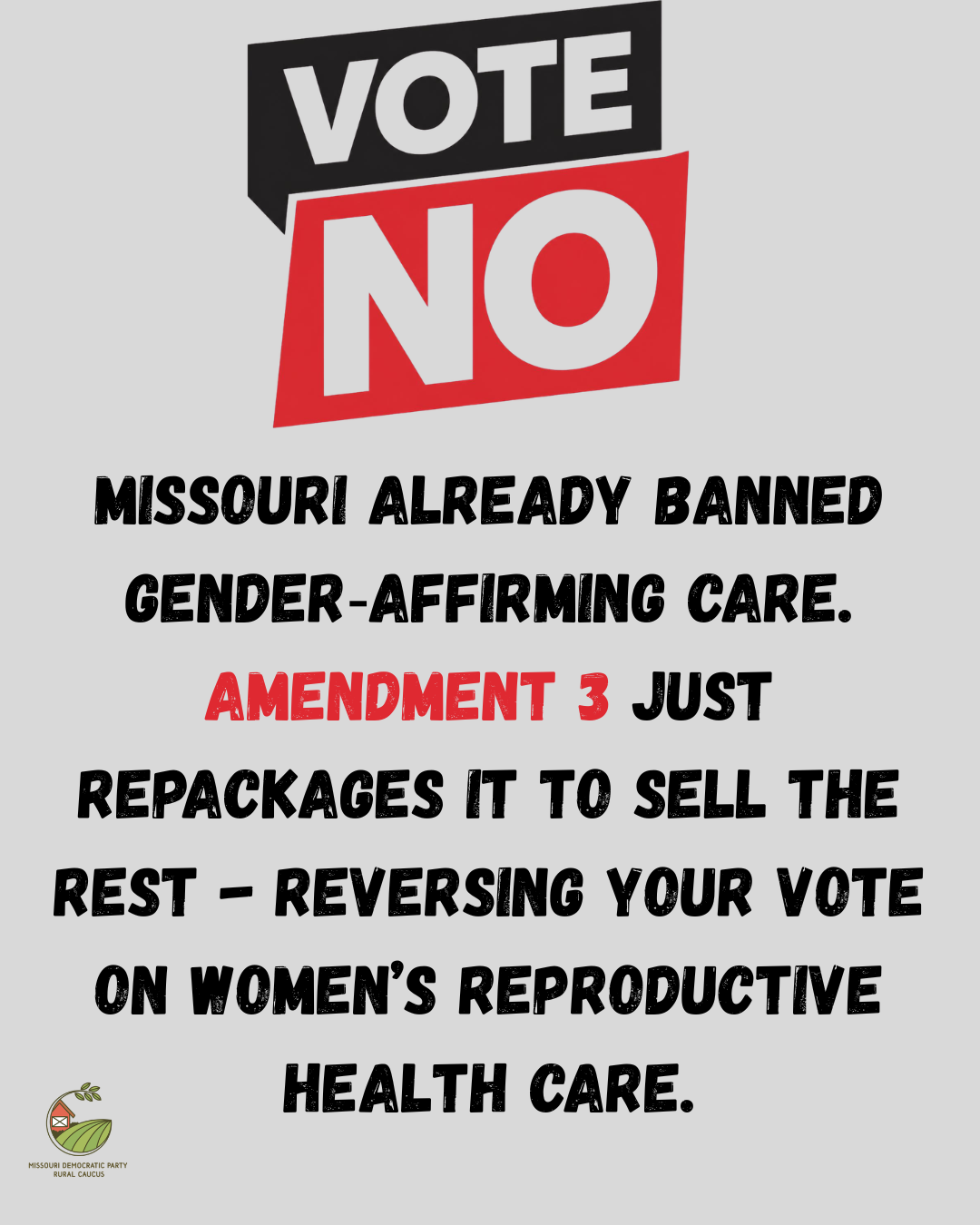 Vote NO Amendment 3.png