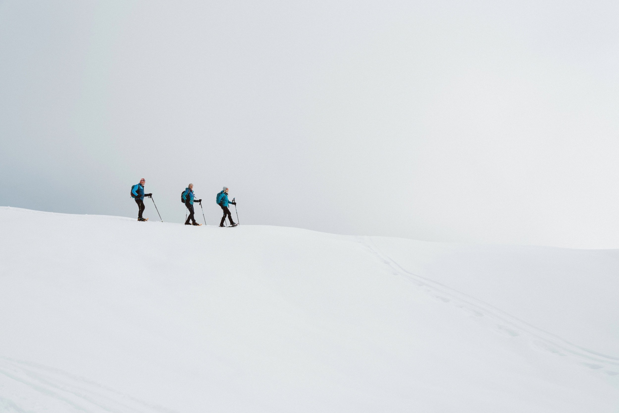_DSC0885.jpg
