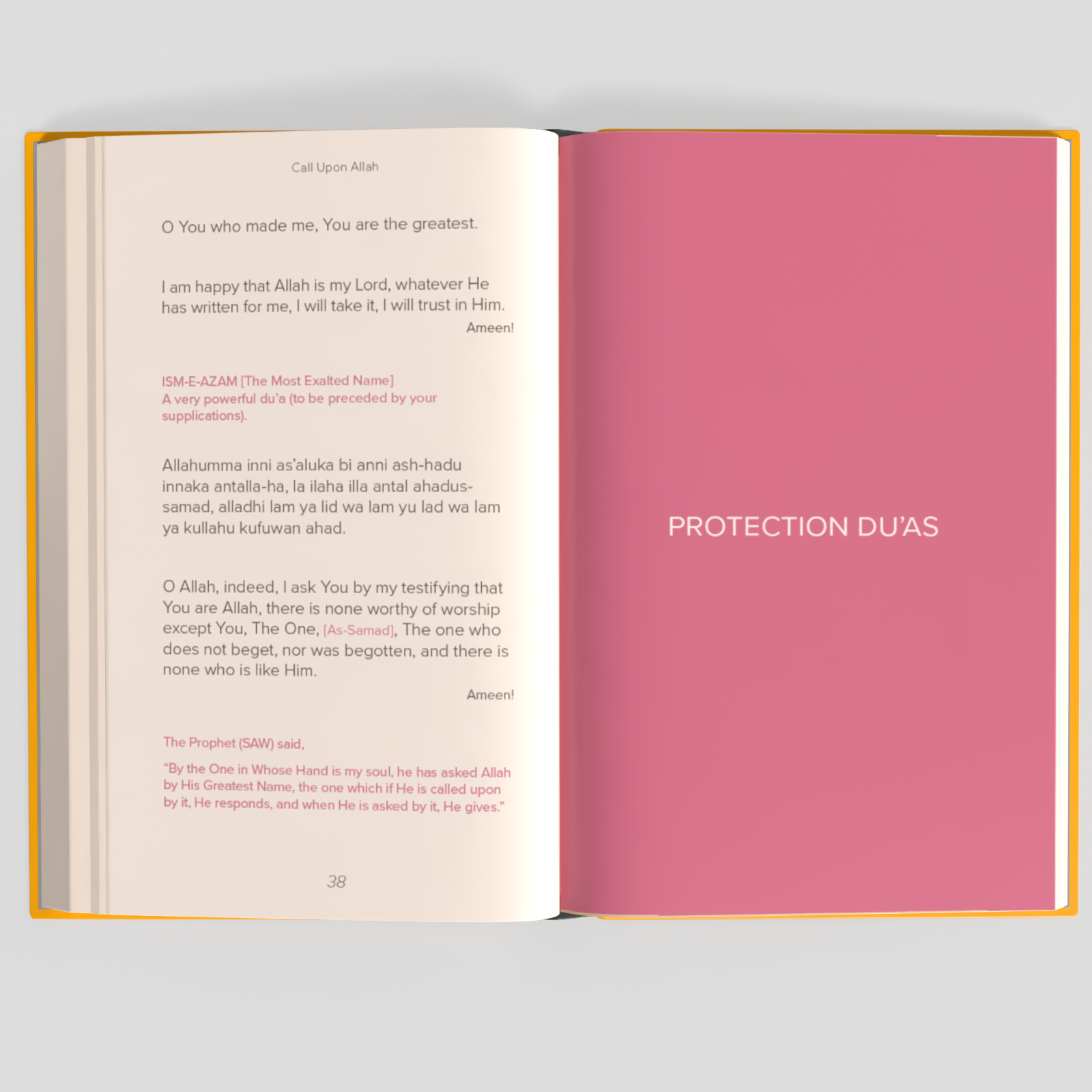 Book_Open1-Camera.png